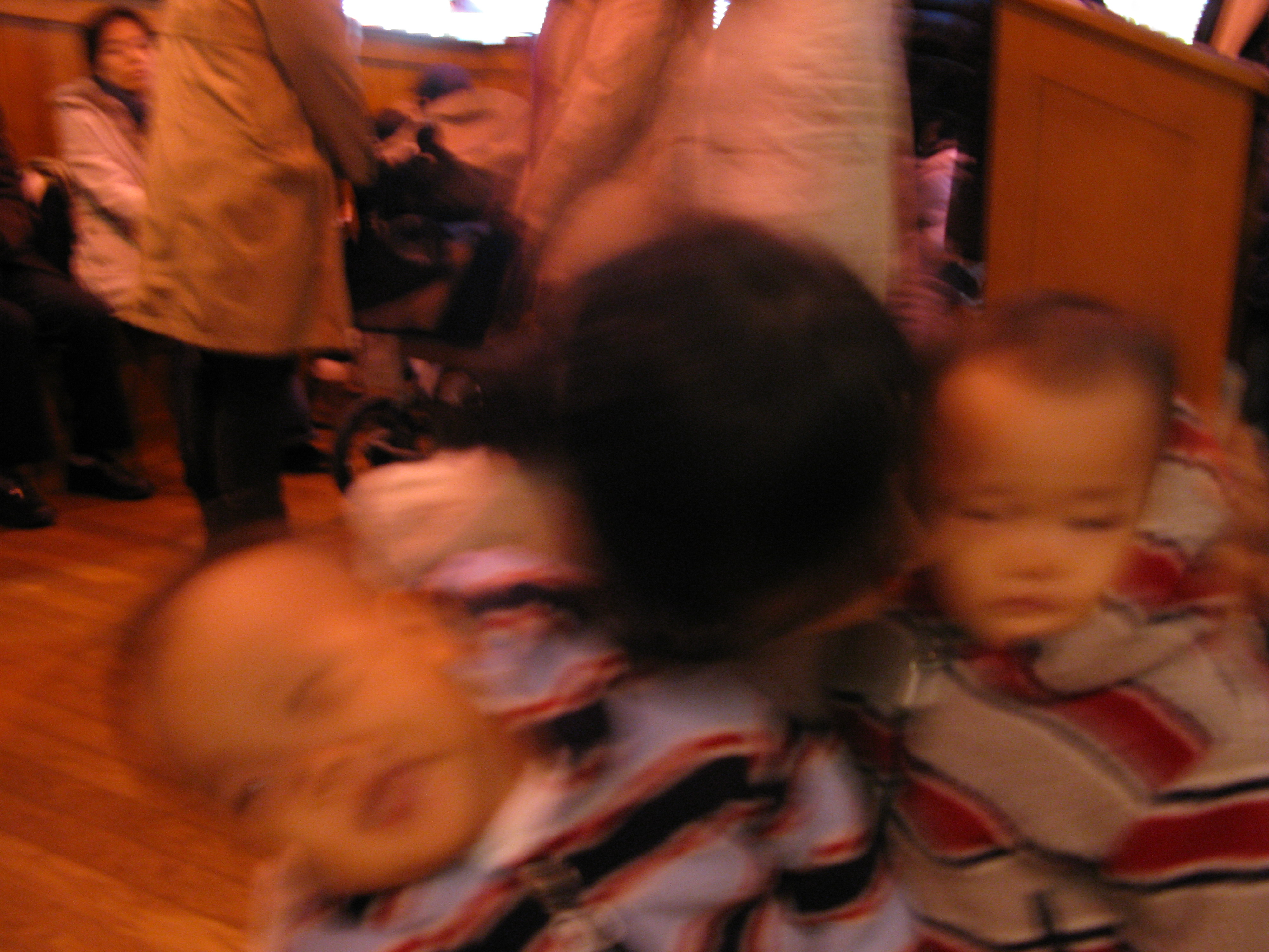 2008-12-07 오후 1-33-50.JPG