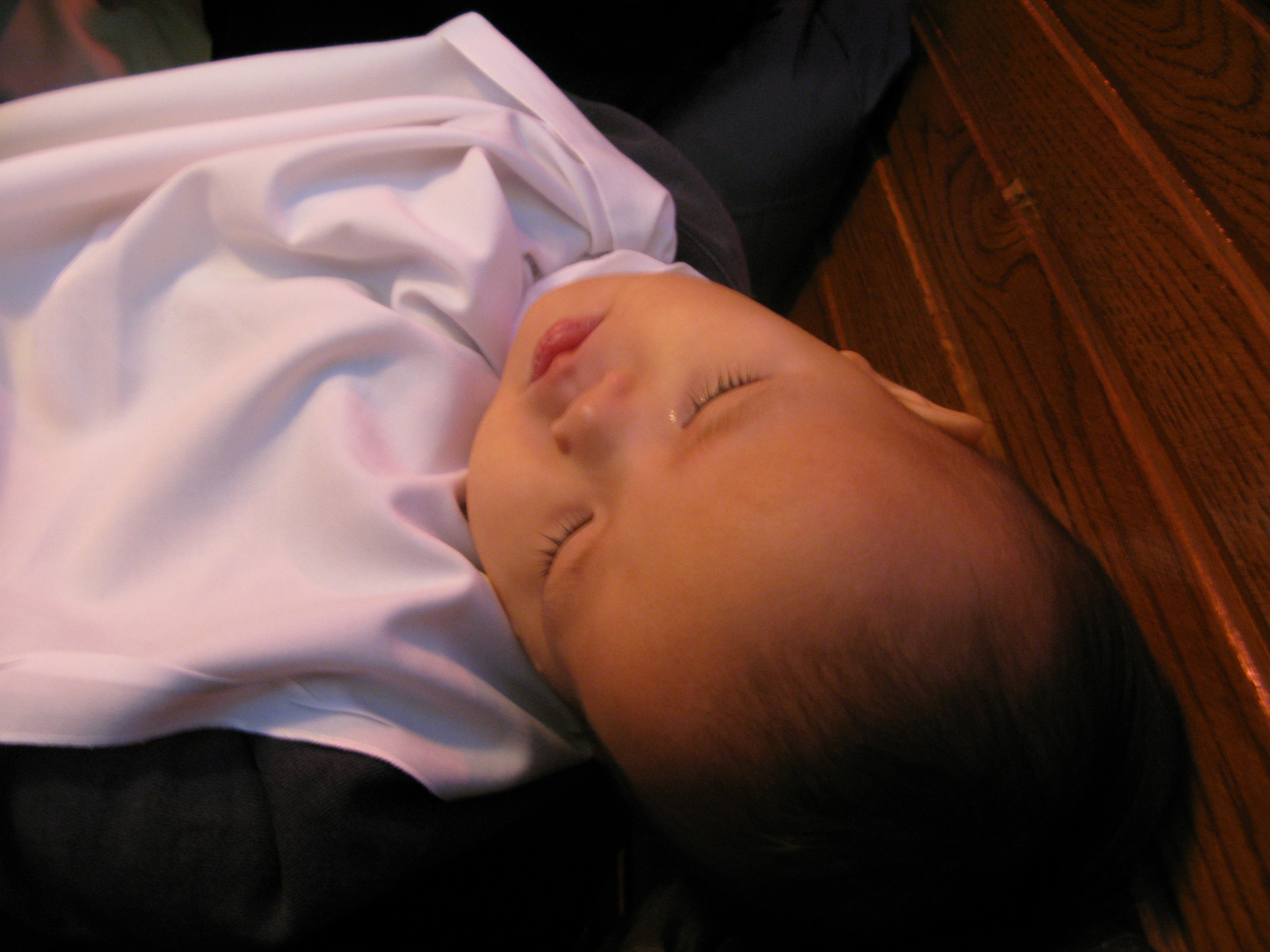 2008-12-07 오후 1-52-12.JPG