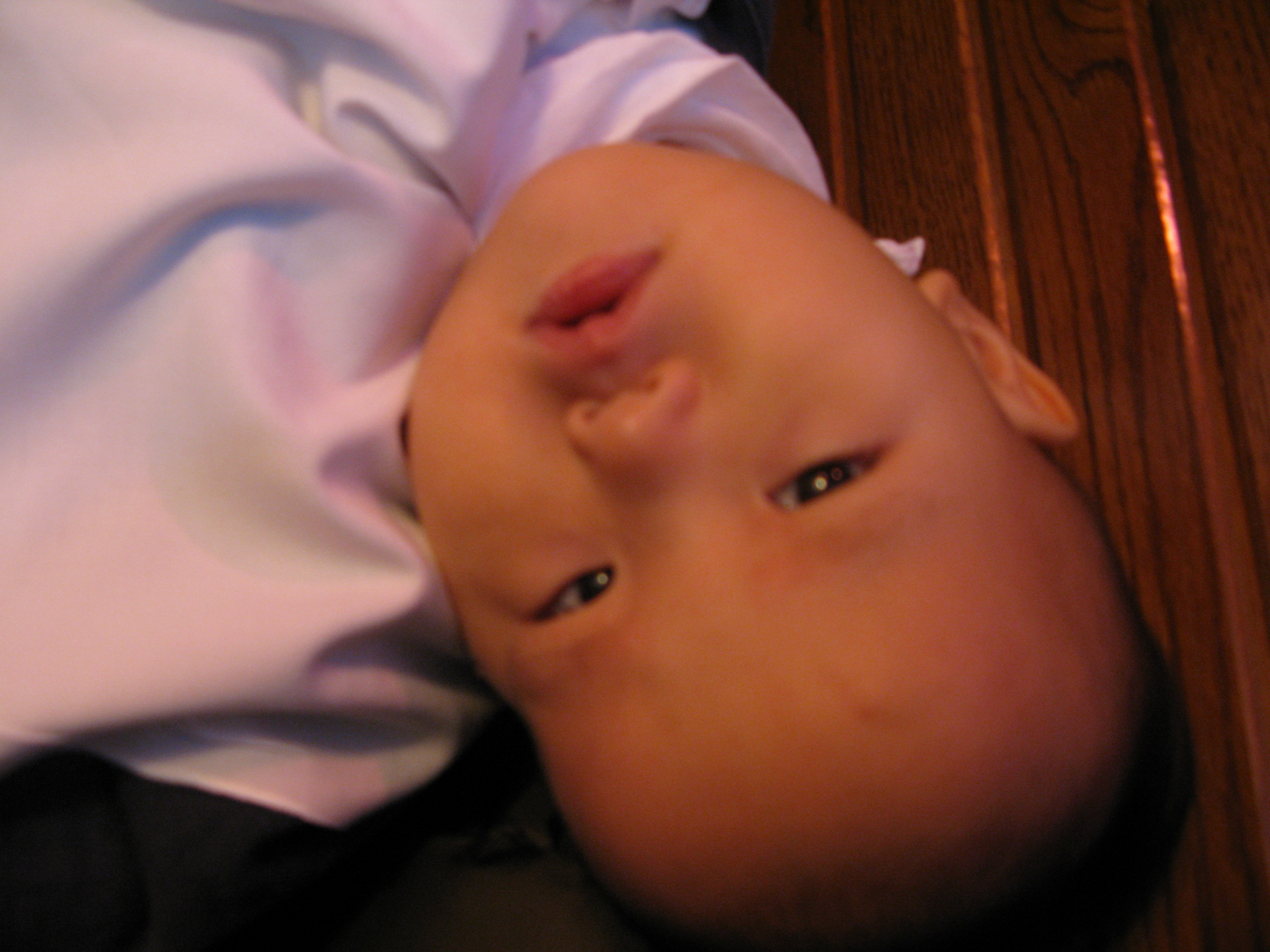 2008-12-07 오후 1-52-18.JPG