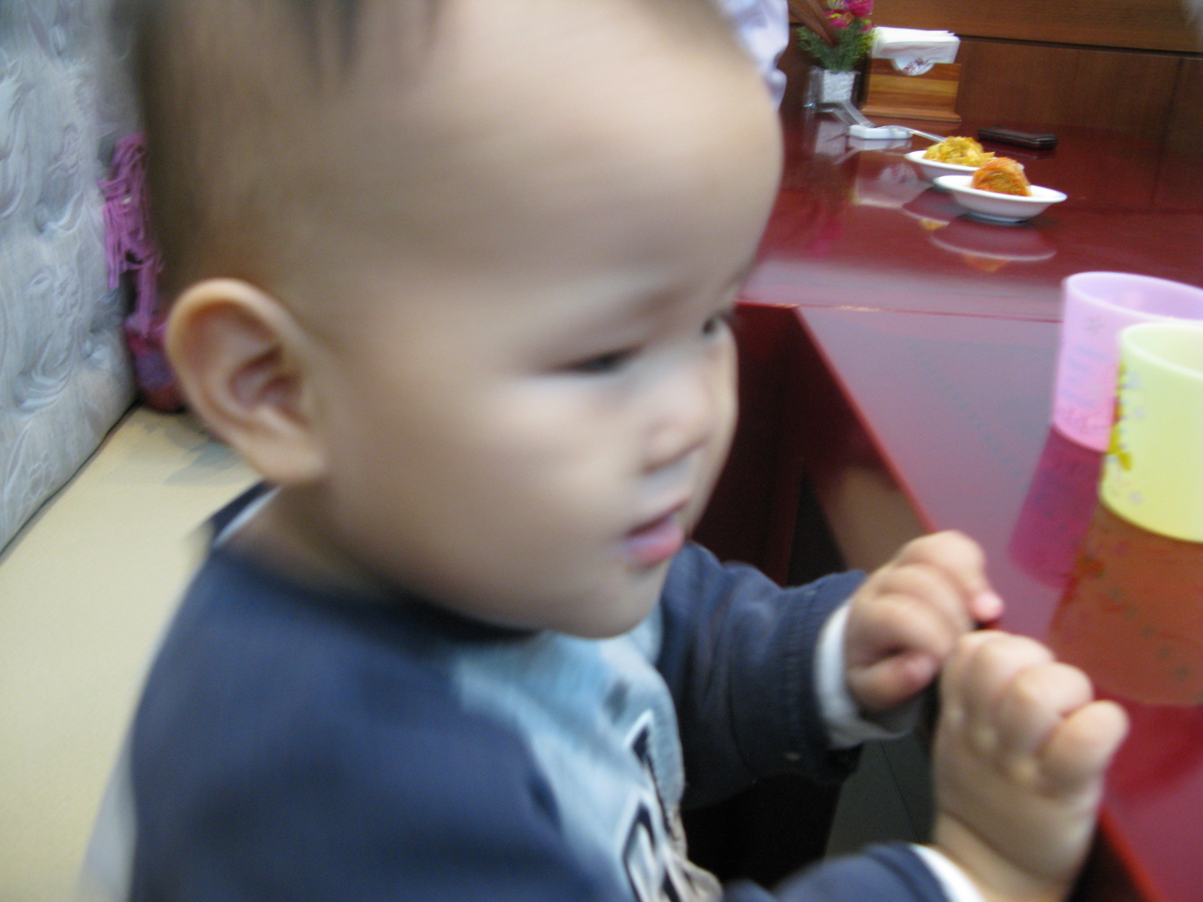 2008-12-12 오후 7-07-09.JPG