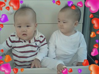 사진 080130_010.jpg