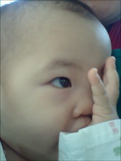사진 080403_023.jpg