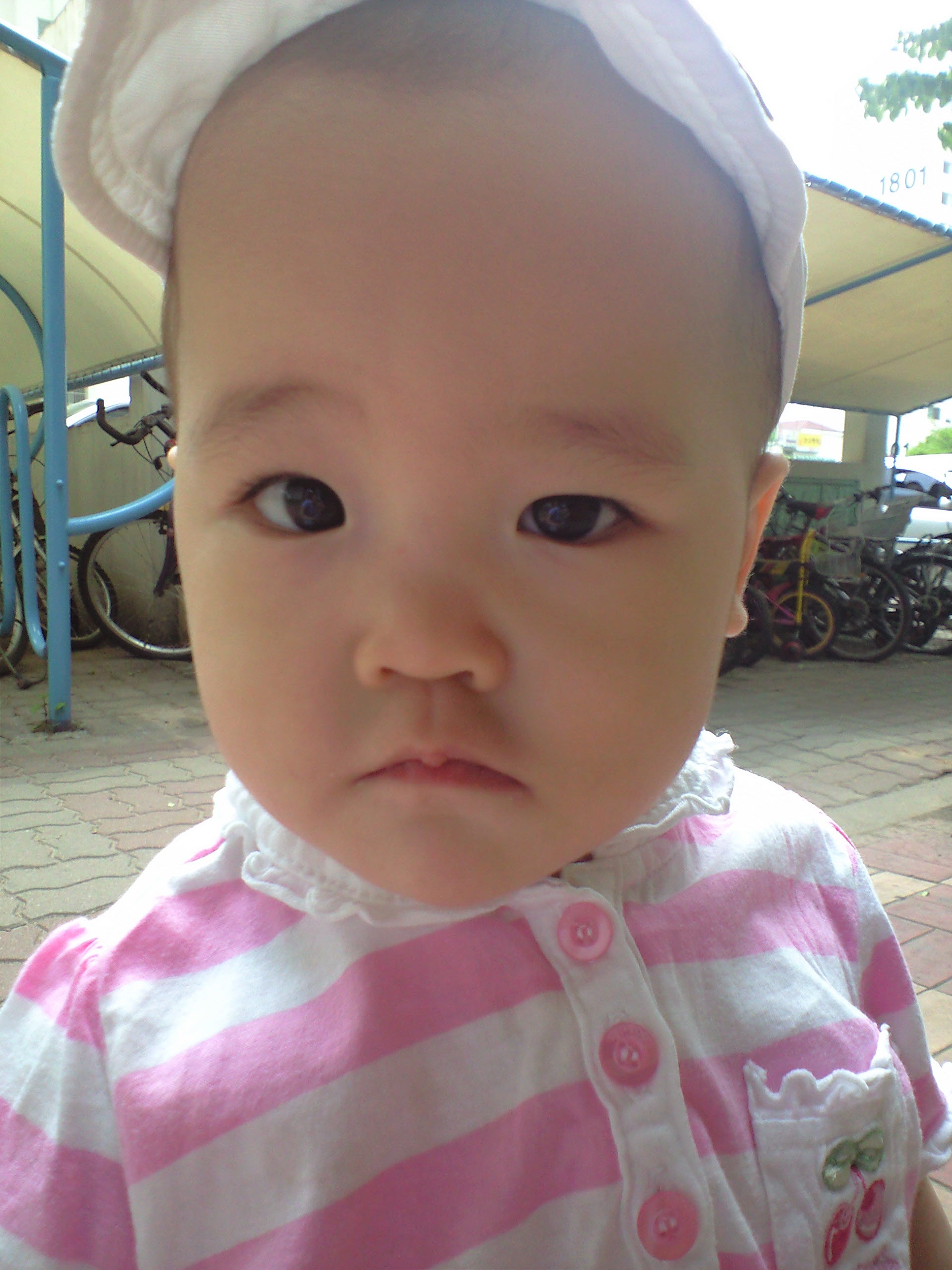 사진 080525_002.jpg