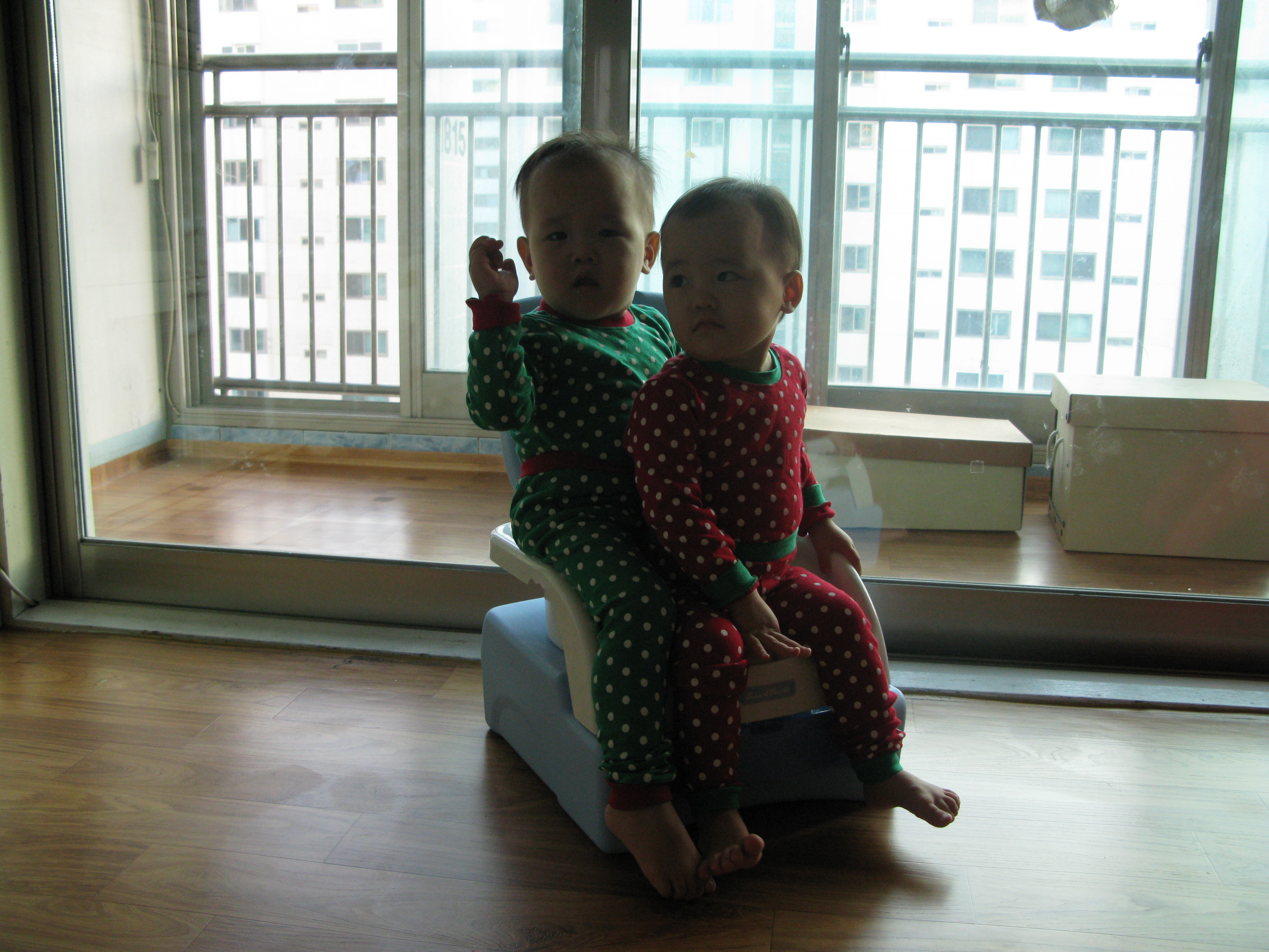 2009-01-01 오후 4-47-08.JPG