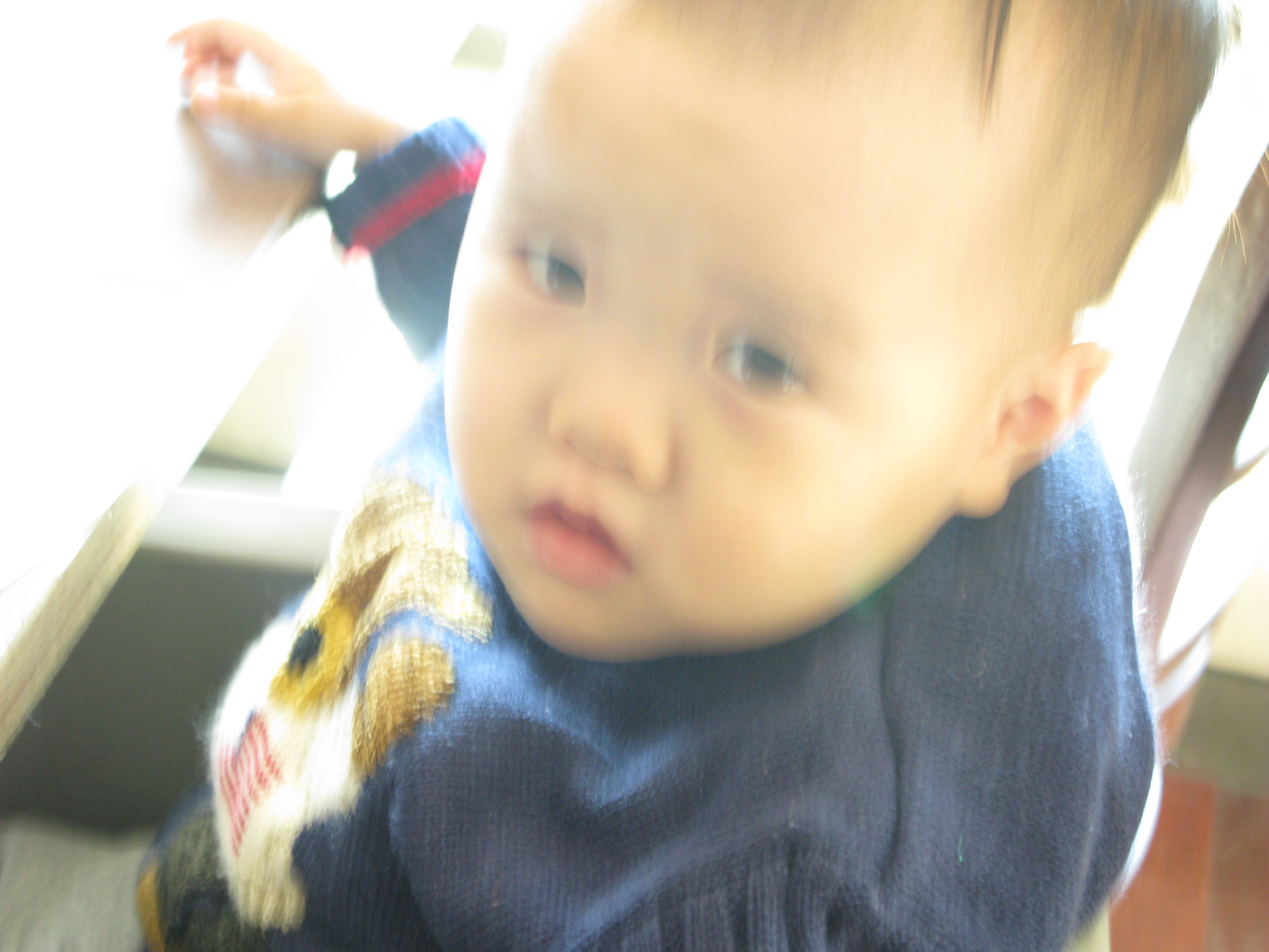 2009-01-02 오후 12-05-33.JPG