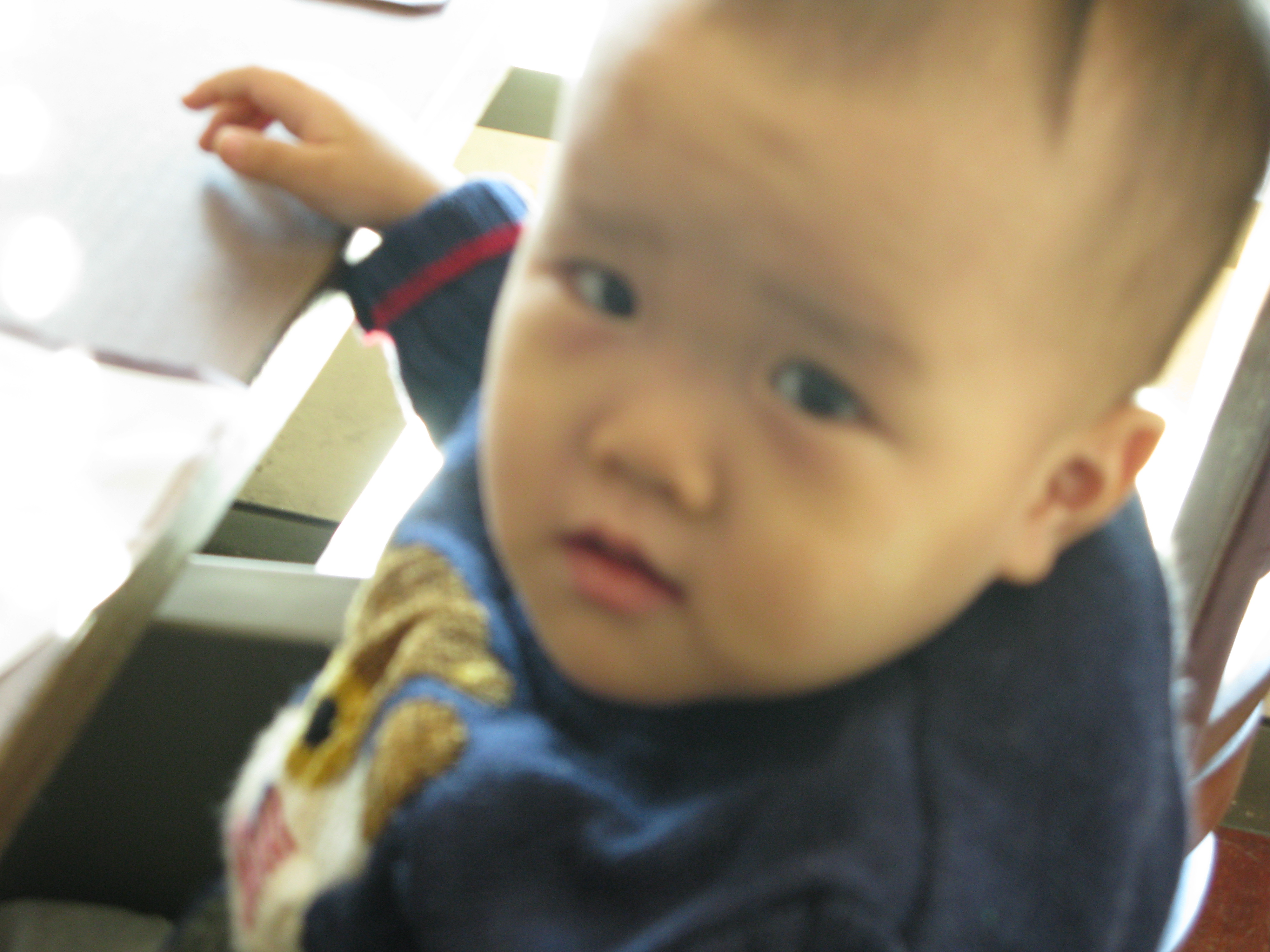 2009-01-02 오후 12-05-36.JPG