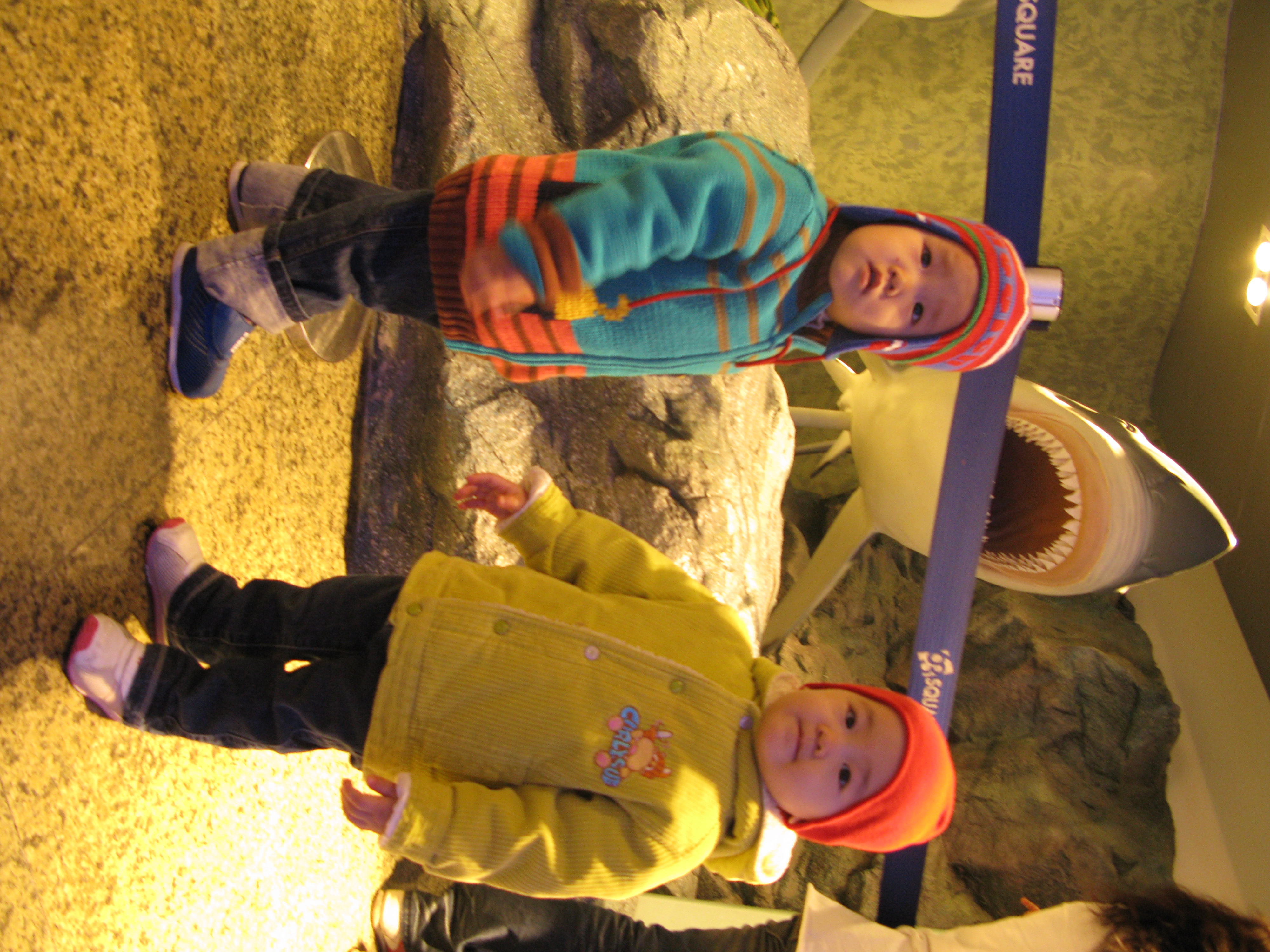 2009-02-01 오후 2-51-27.JPG