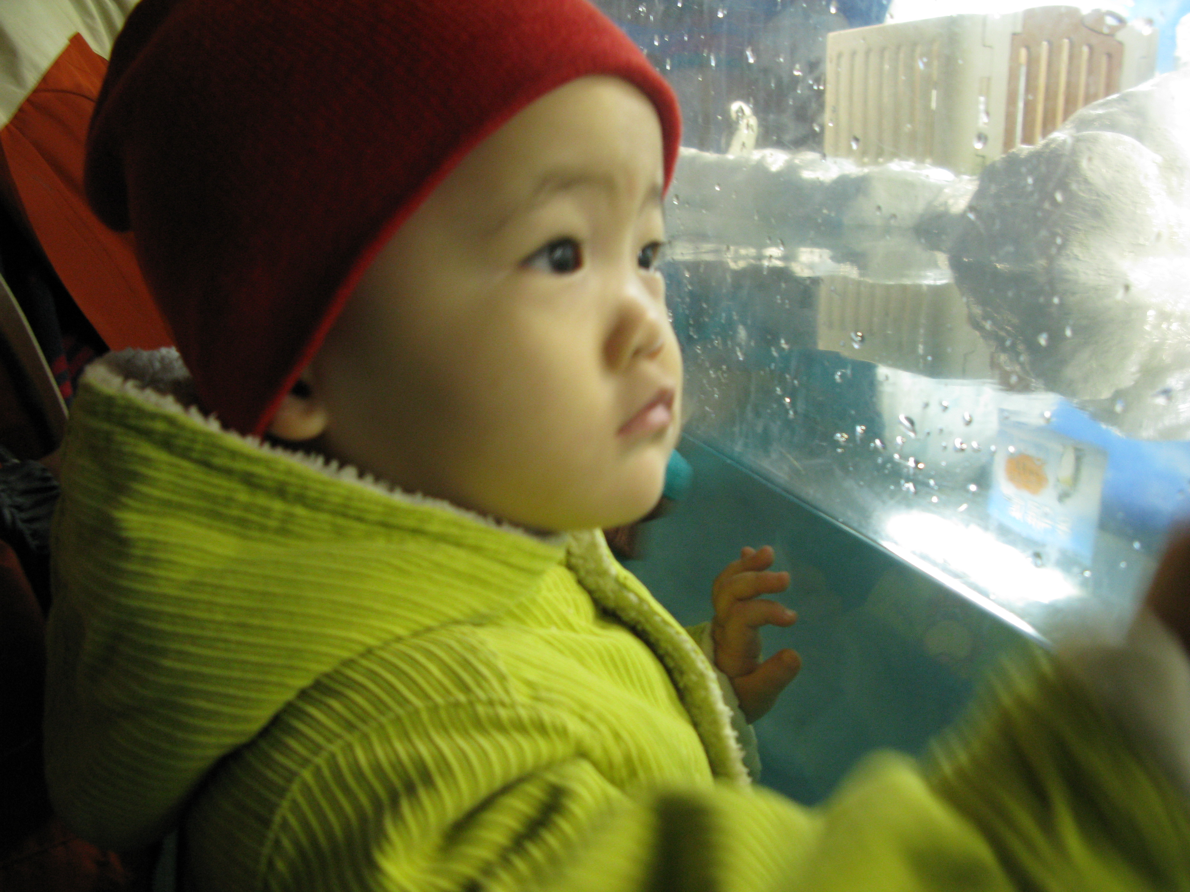 2009-02-01 오후 2-56-07.JPG