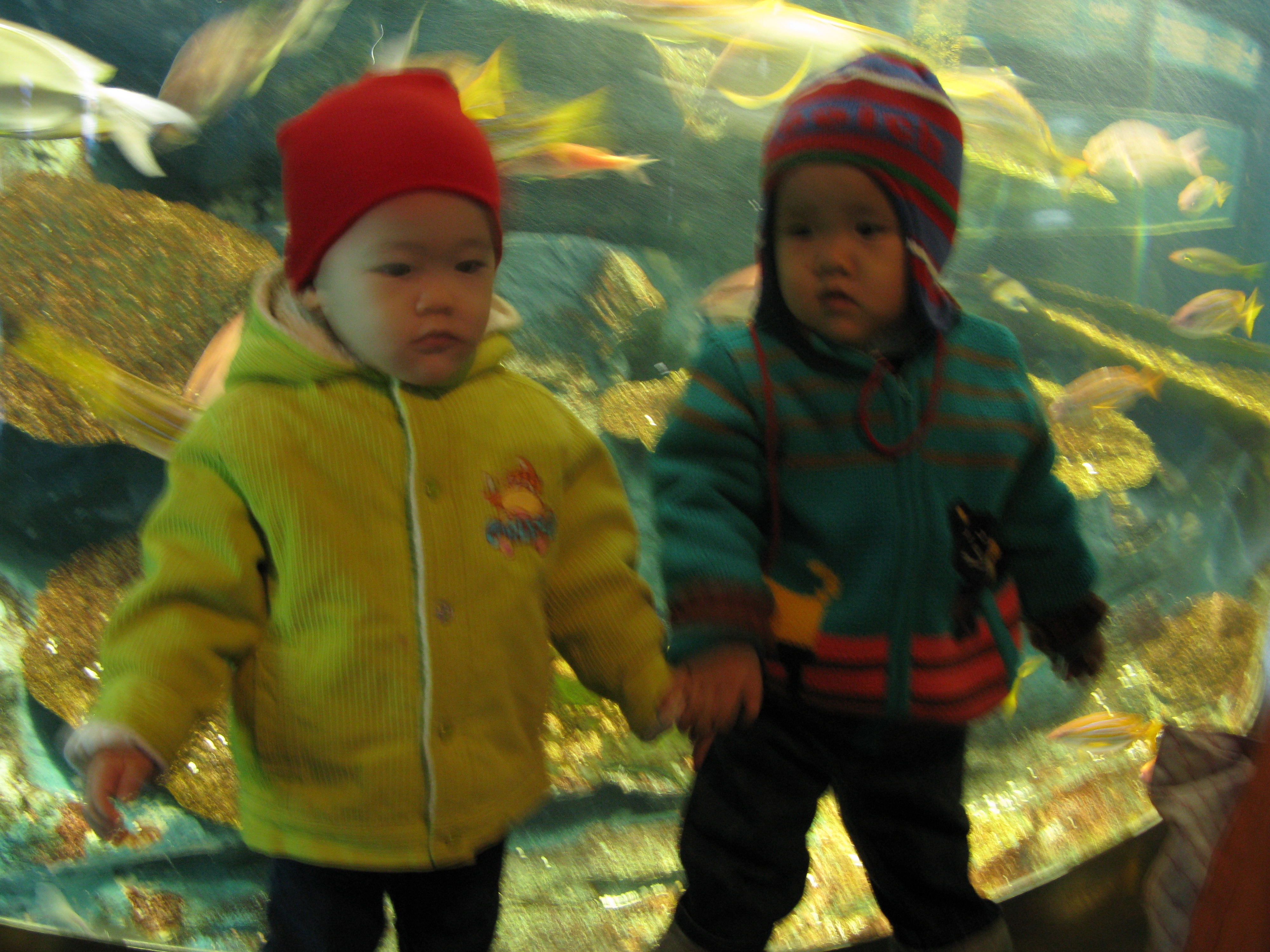 2009-02-01 오후 2-58-52.JPG