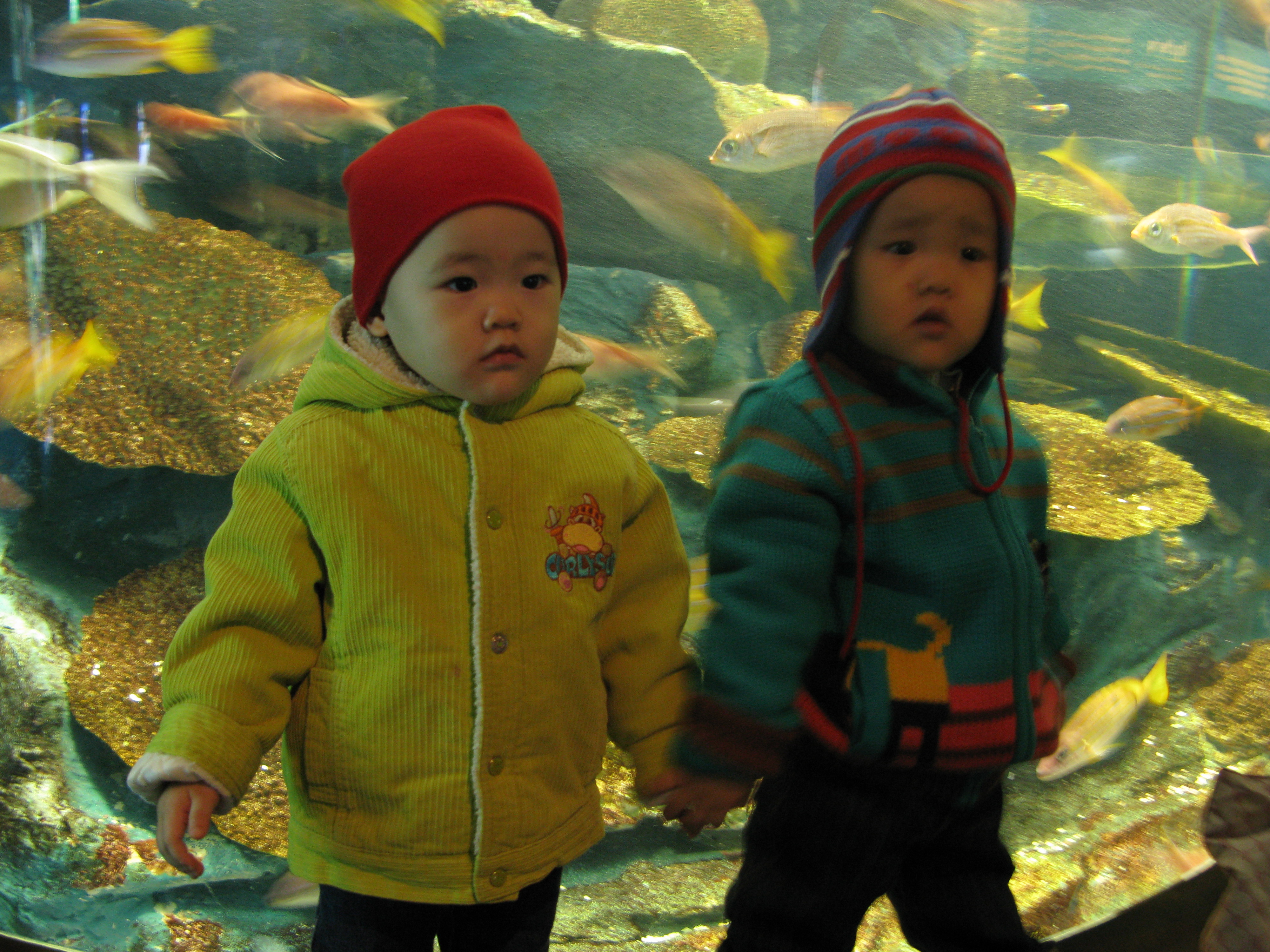 2009-02-01 오후 2-58-58.JPG