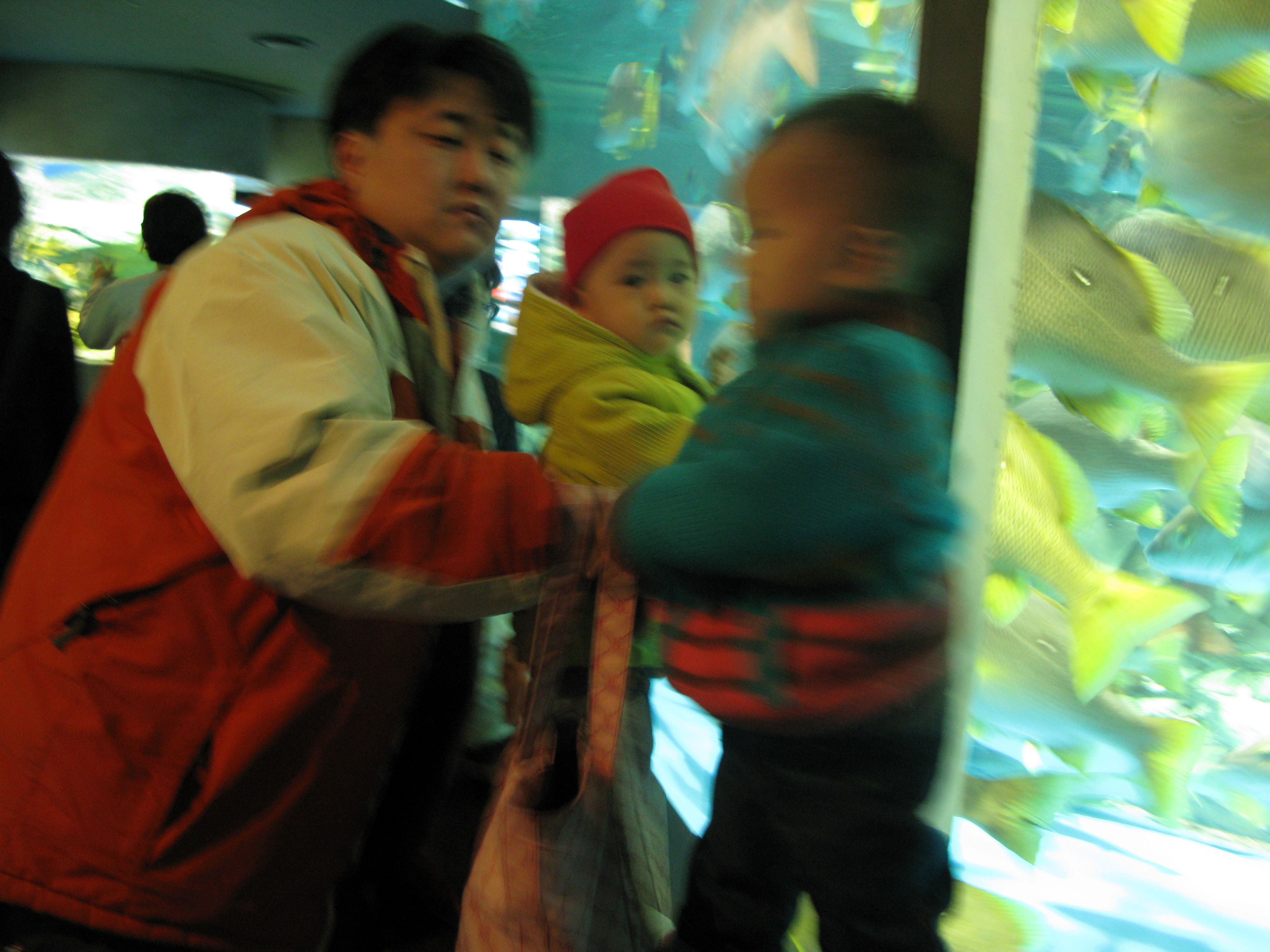 2009-02-01 오후 3-08-09.JPG
