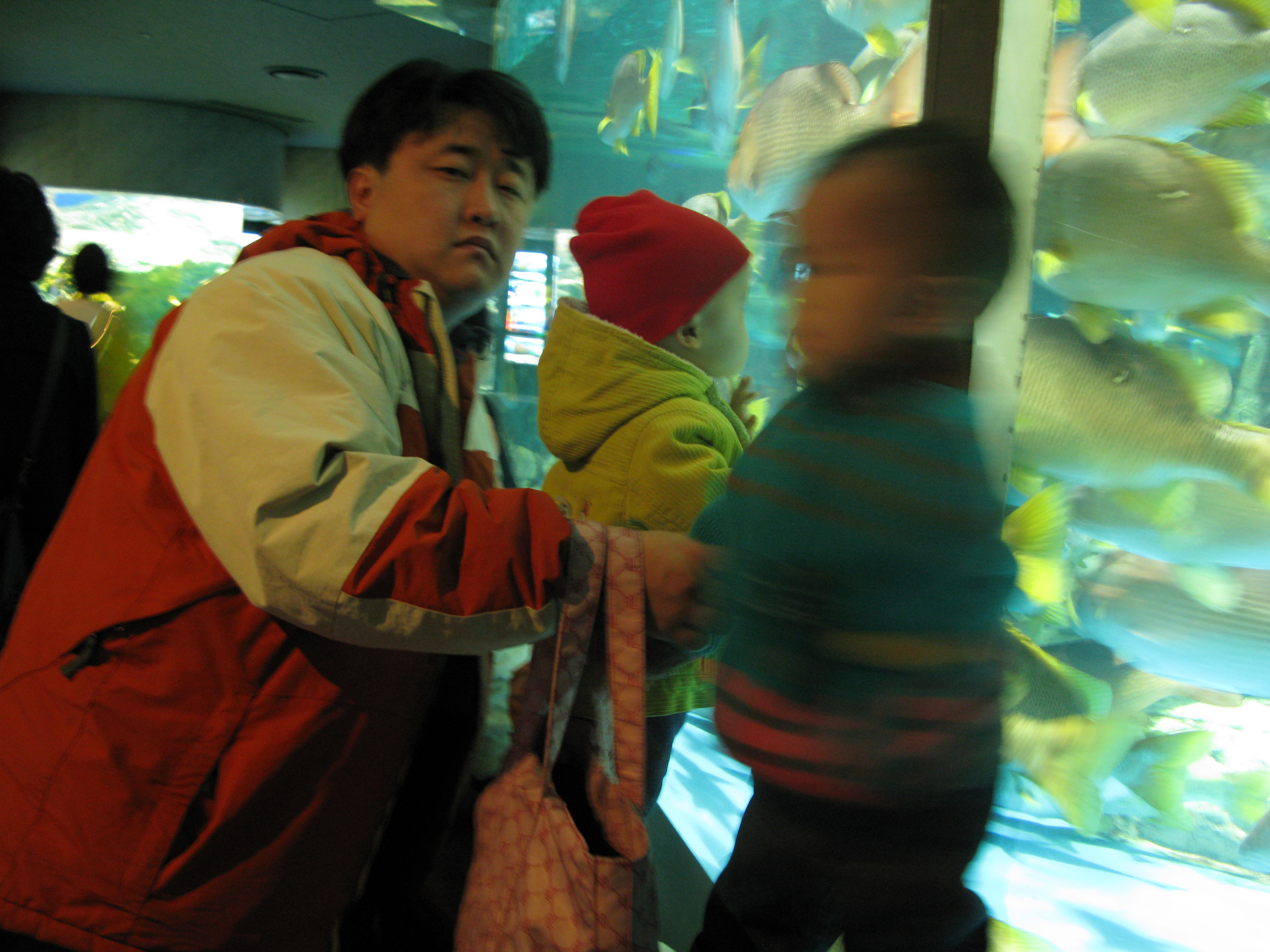 2009-02-01 오후 3-08-11.JPG