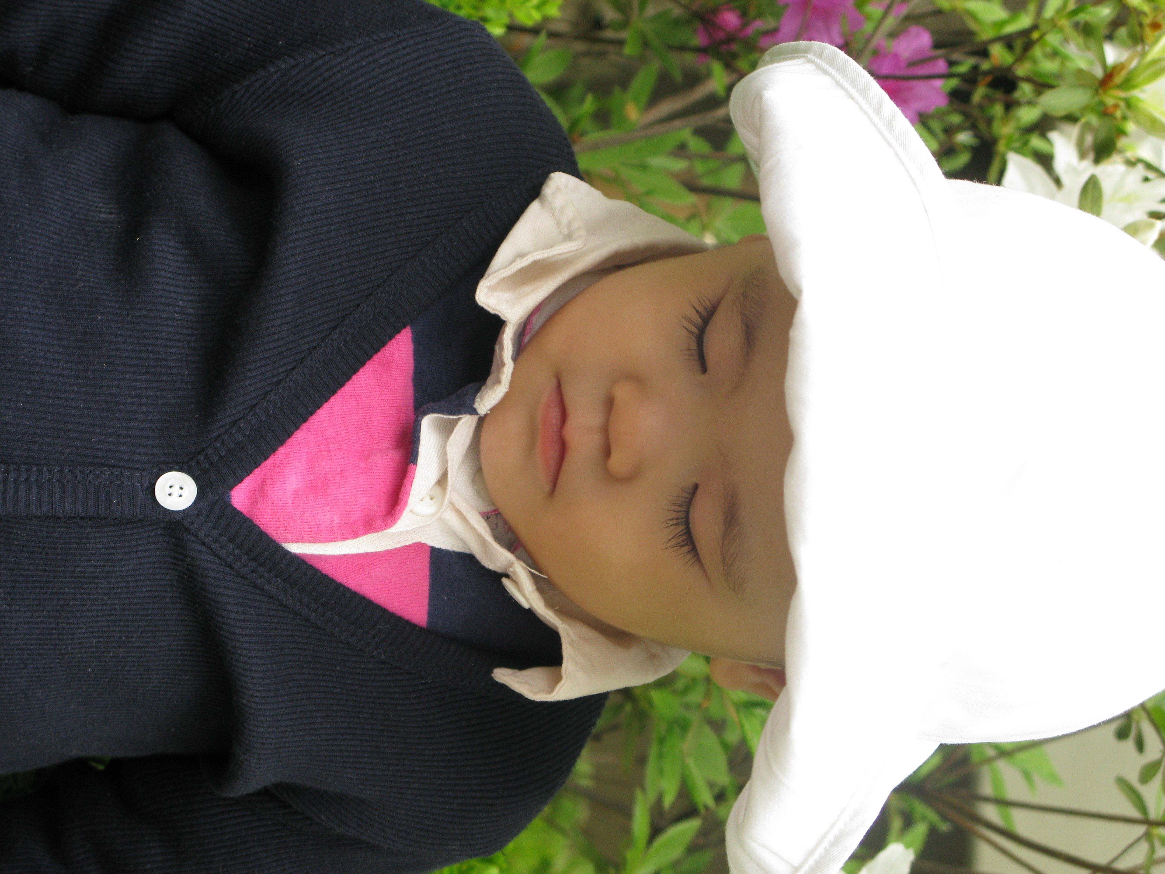 IMG_2009-04-26 오전 11-51-05.JPG