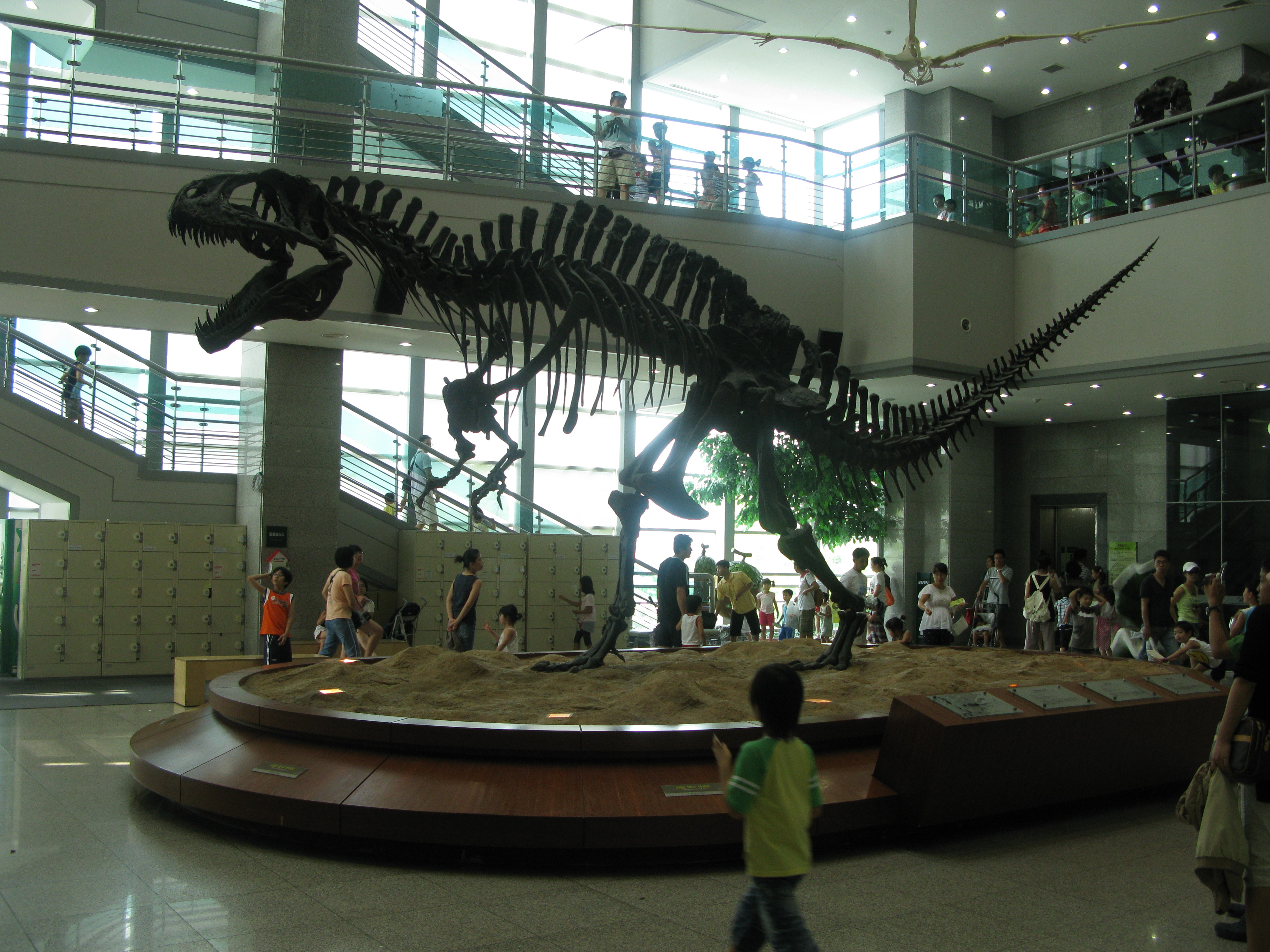 IMG_2009-08-01 오후 3-37-48.JPG
