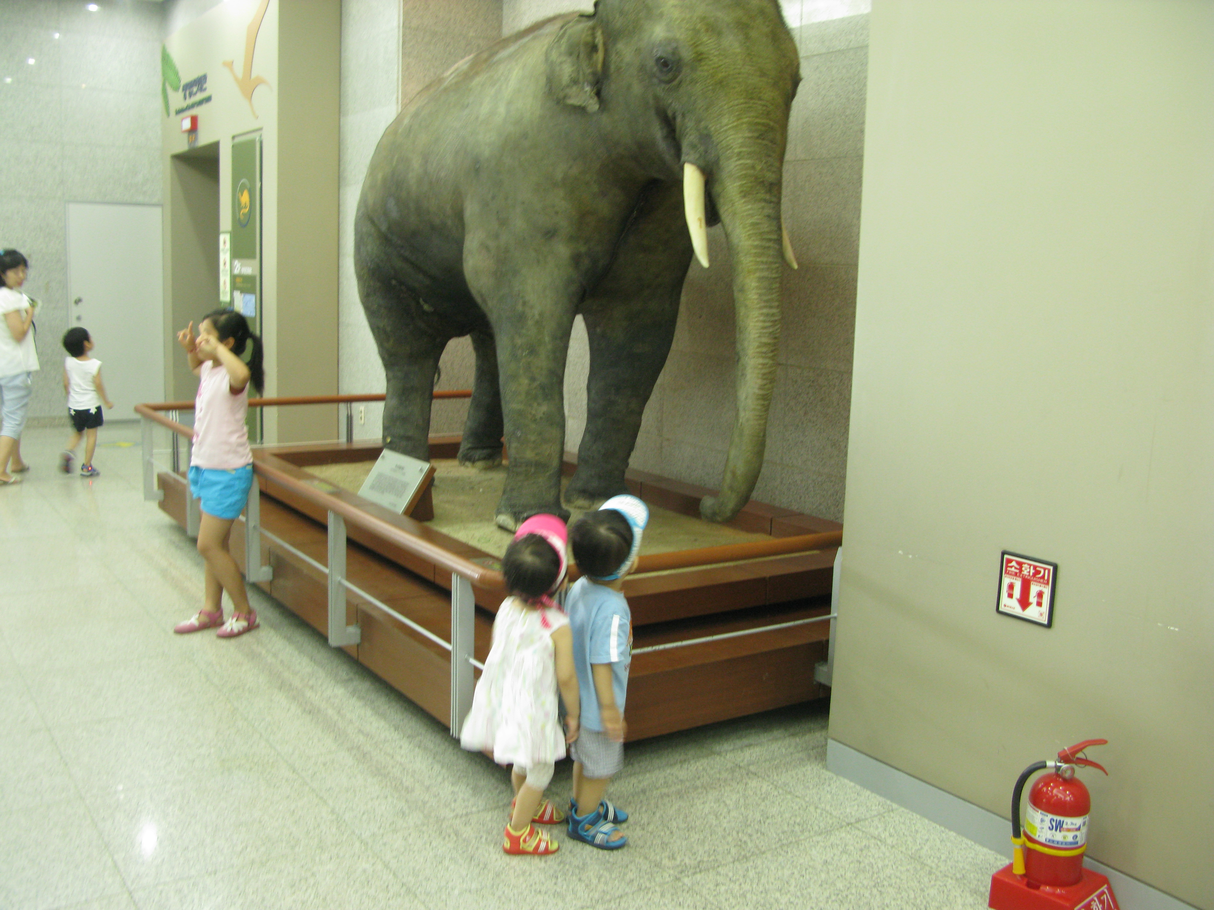 IMG_2009-08-01 오후 3-57-30.JPG