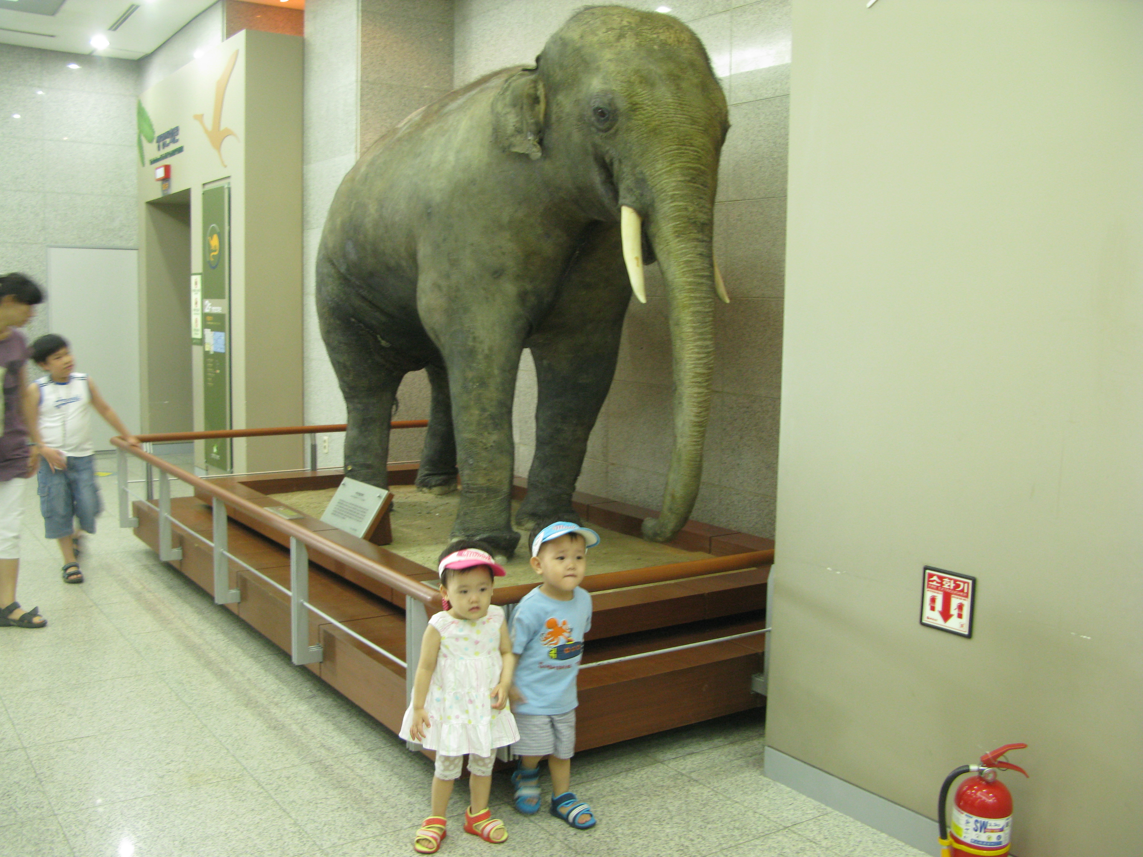 IMG_2009-08-01 오후 3-57-36.JPG