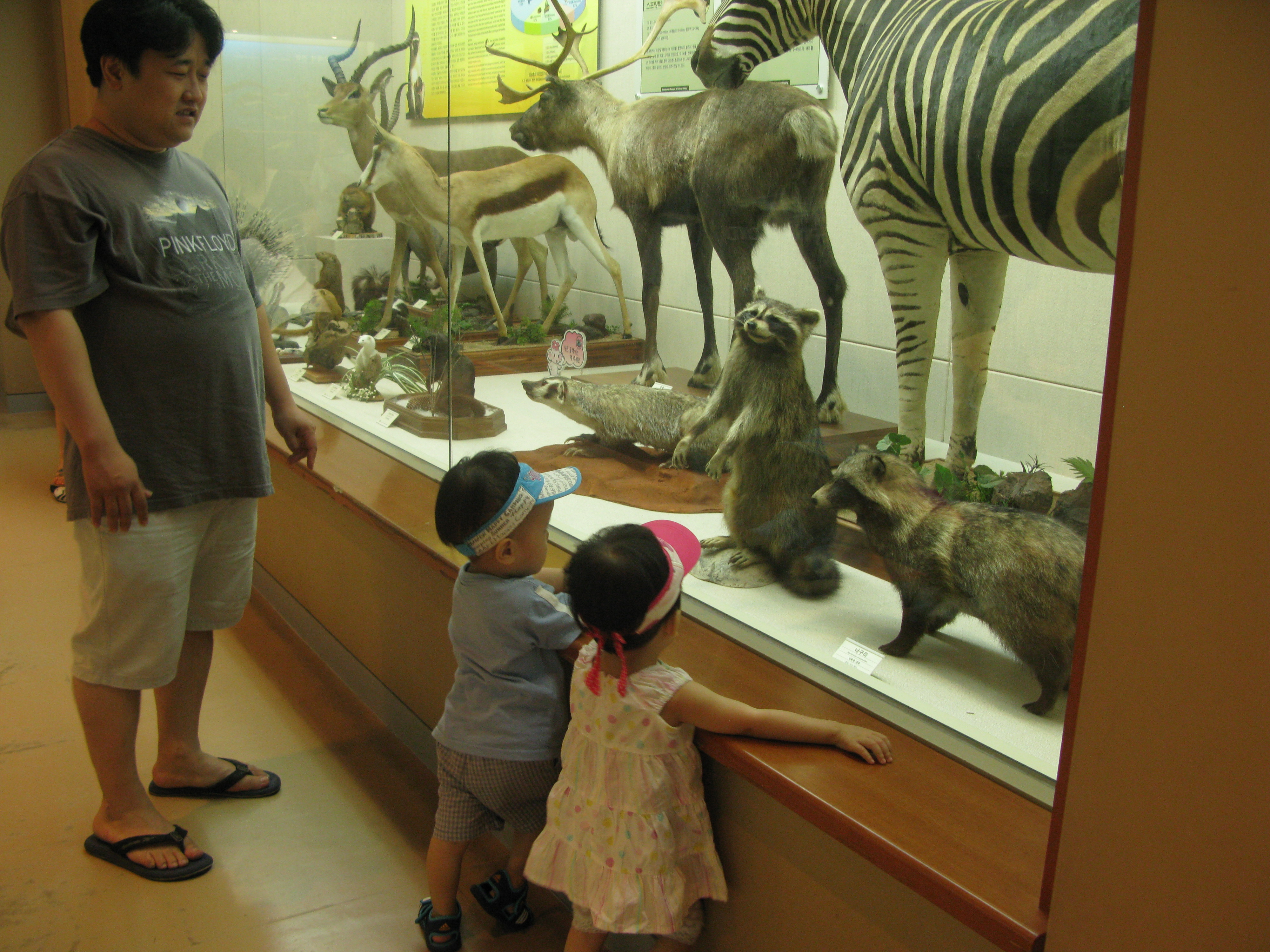 IMG_2009-08-01 오후 4-06-37.JPG