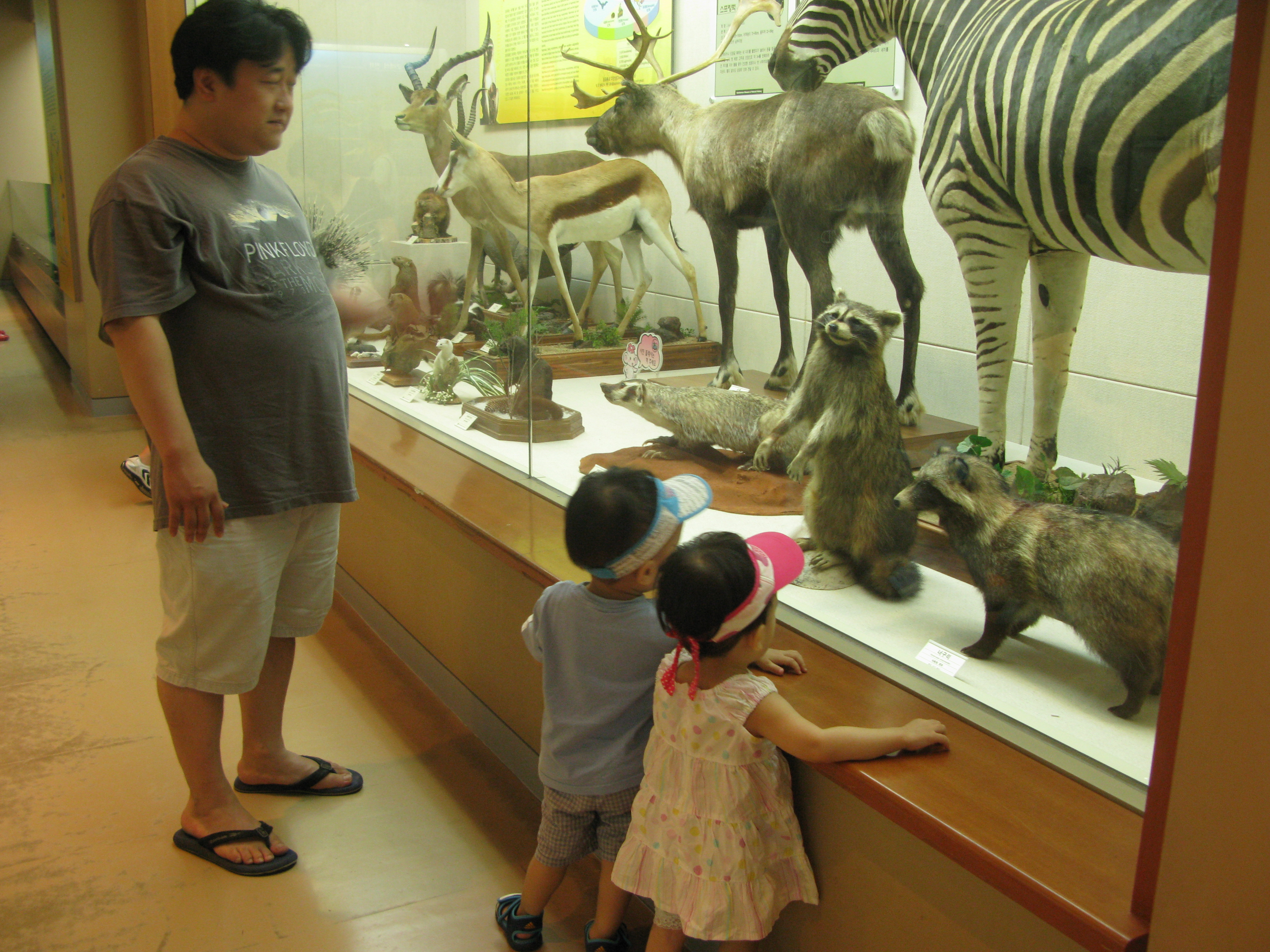 IMG_2009-08-01 오후 4-06-40.JPG