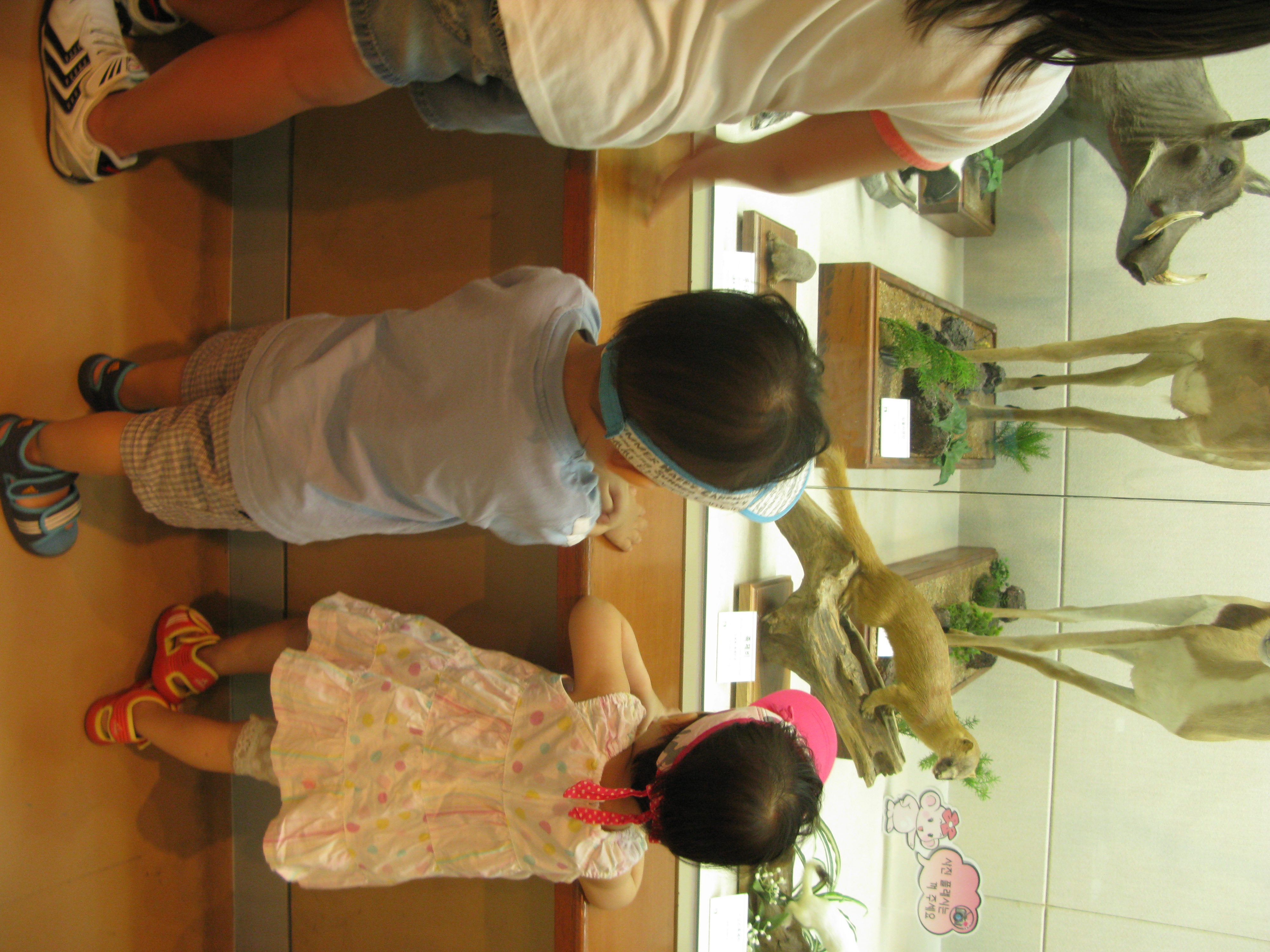 IMG_2009-08-01 오후 4-08-06.JPG