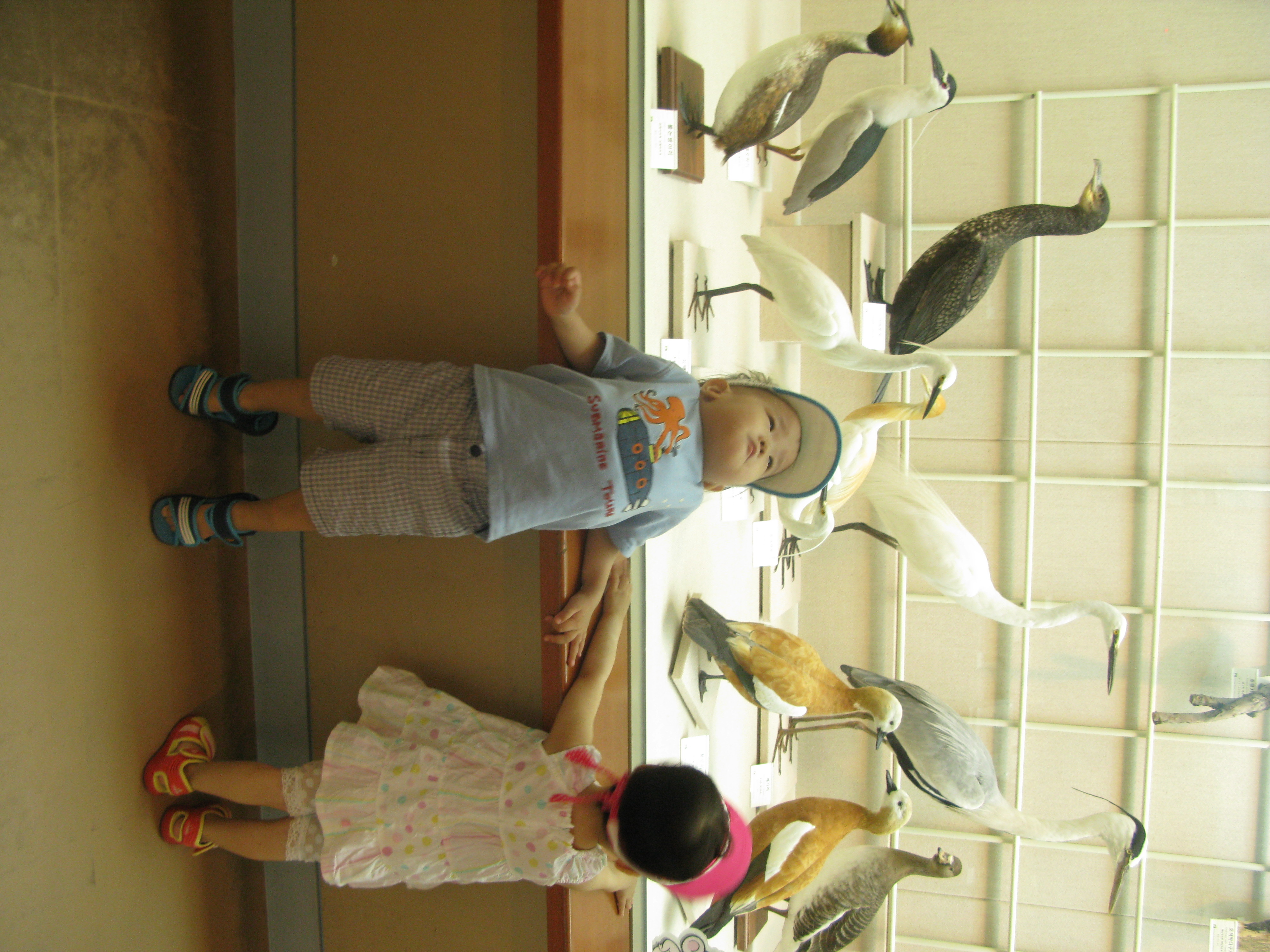 IMG_2009-08-01 오후 4-09-42.JPG