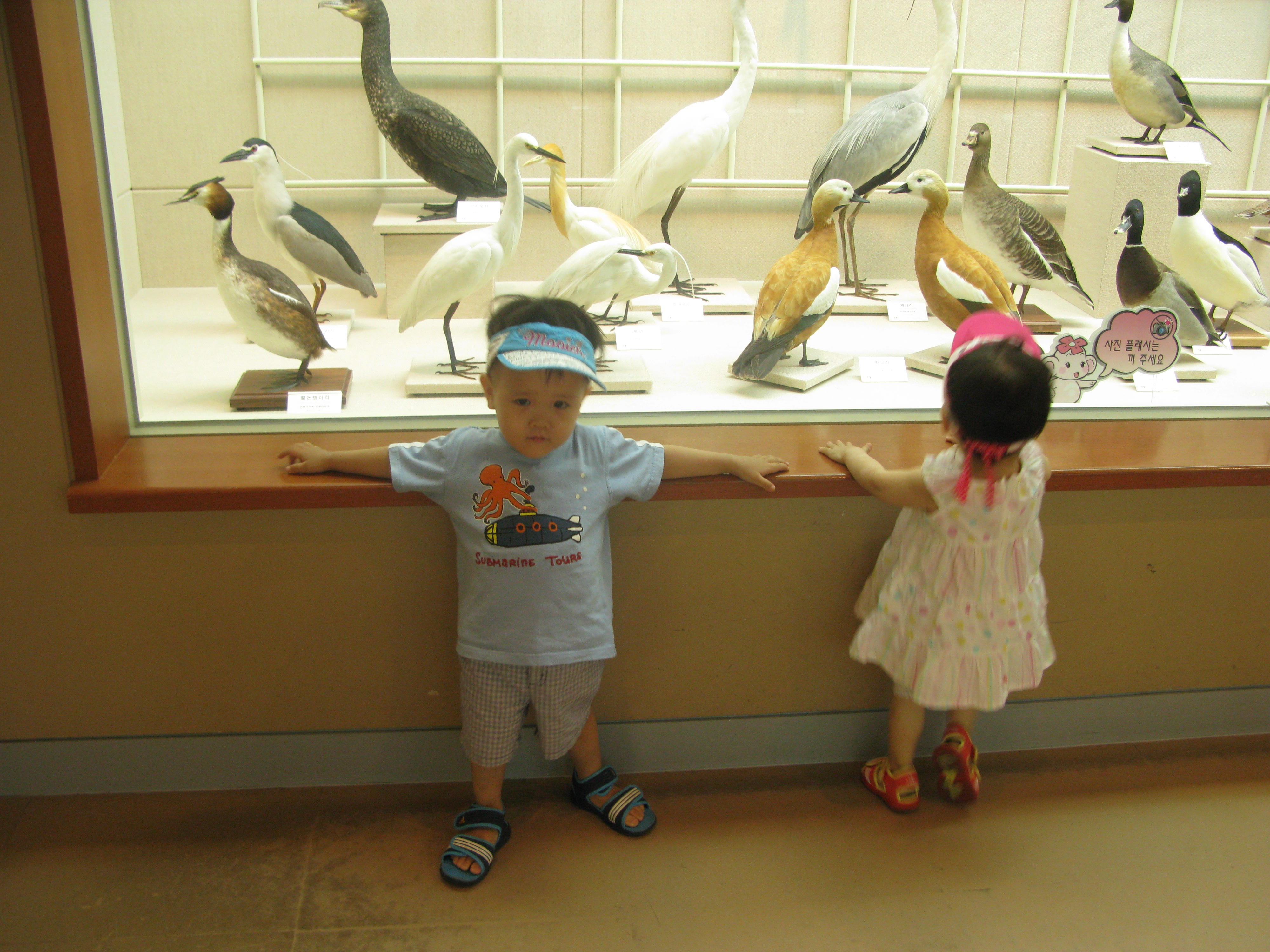 IMG_2009-08-01 오후 4-09-52.JPG