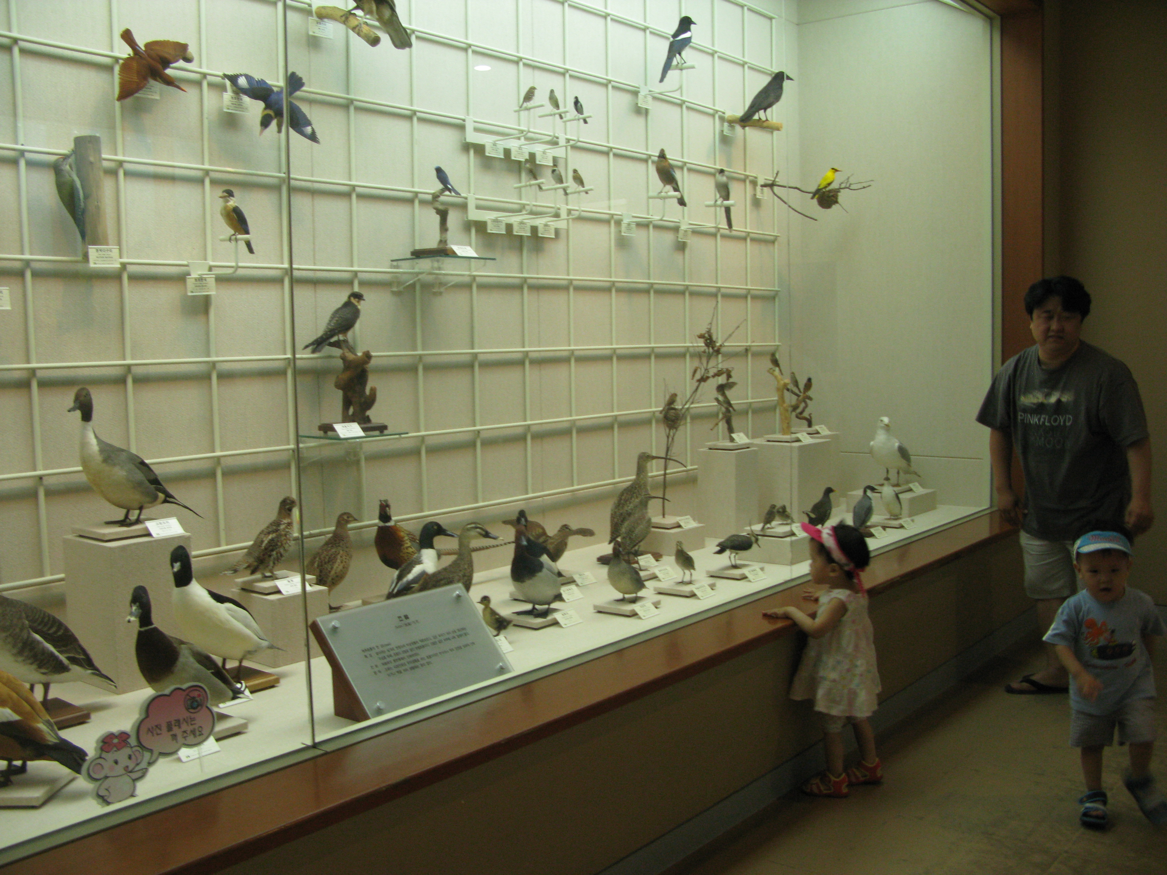 IMG_2009-08-01 오후 4-10-31.JPG