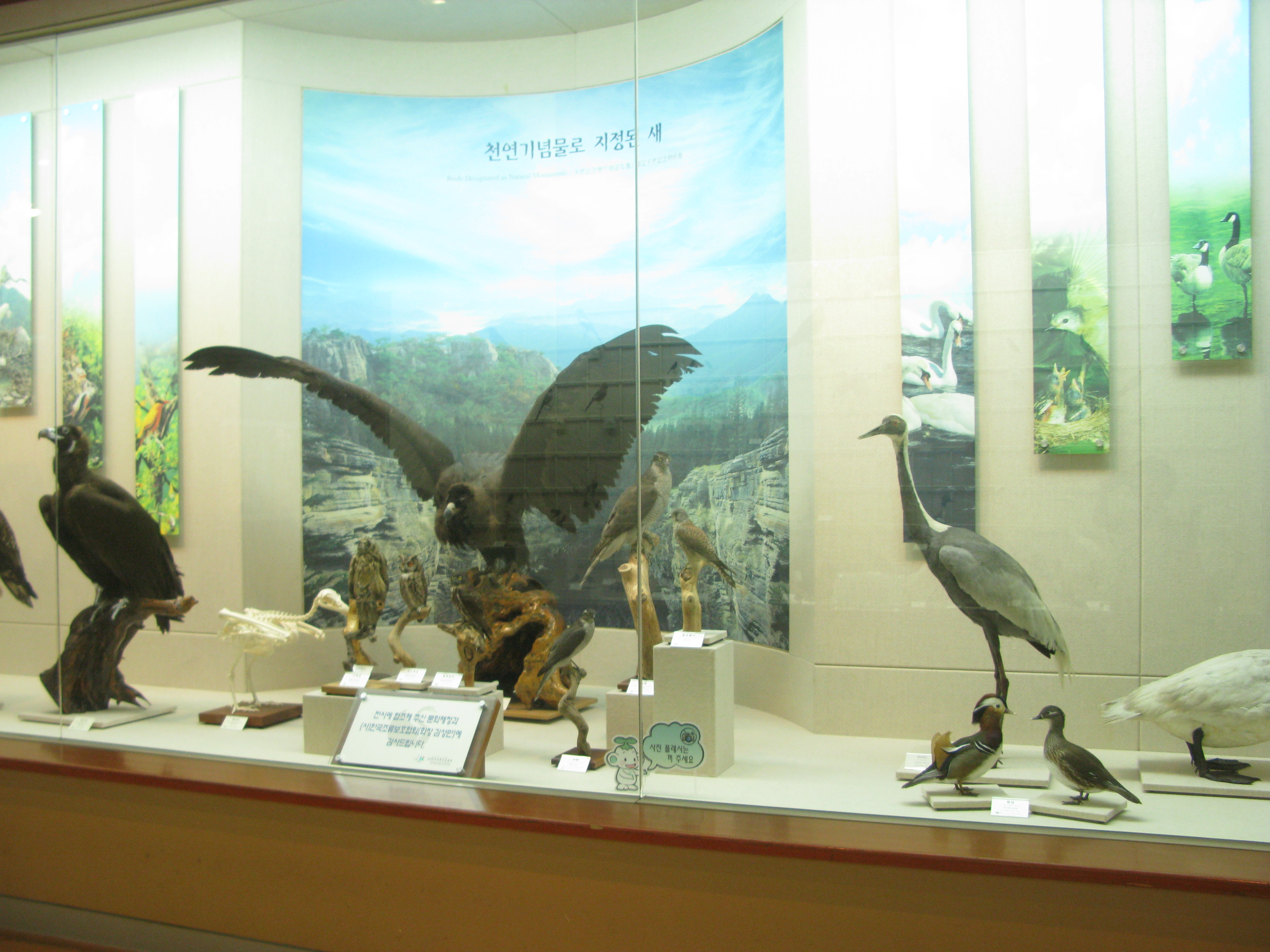 IMG_2009-08-01 오후 4-10-43.JPG