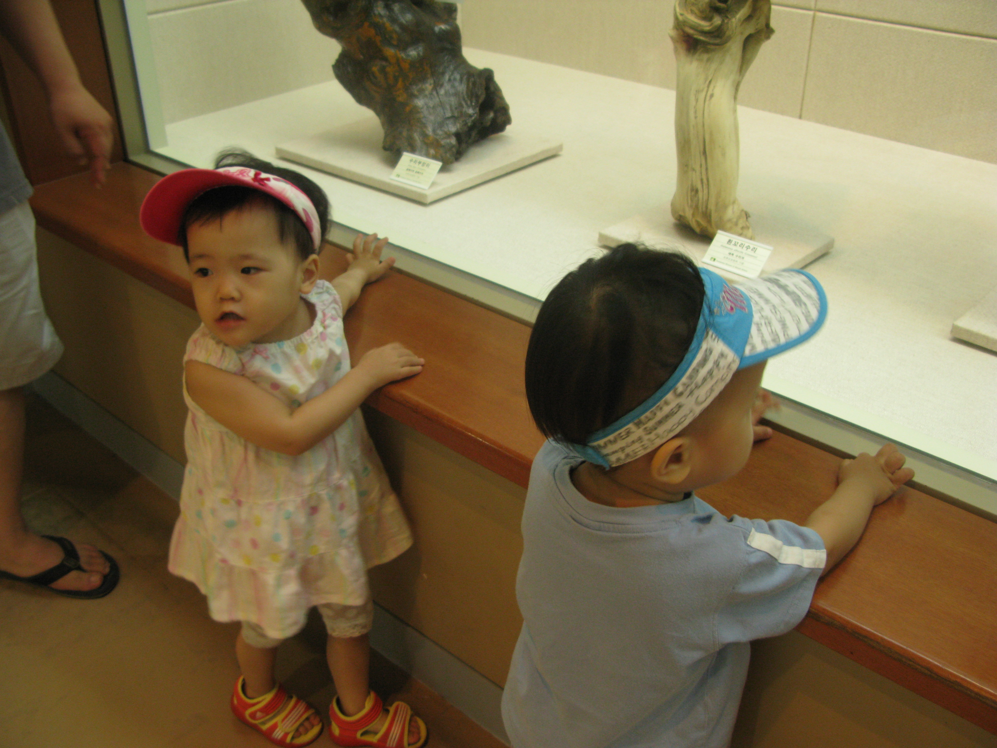IMG_2009-08-01 오후 4-11-09.JPG