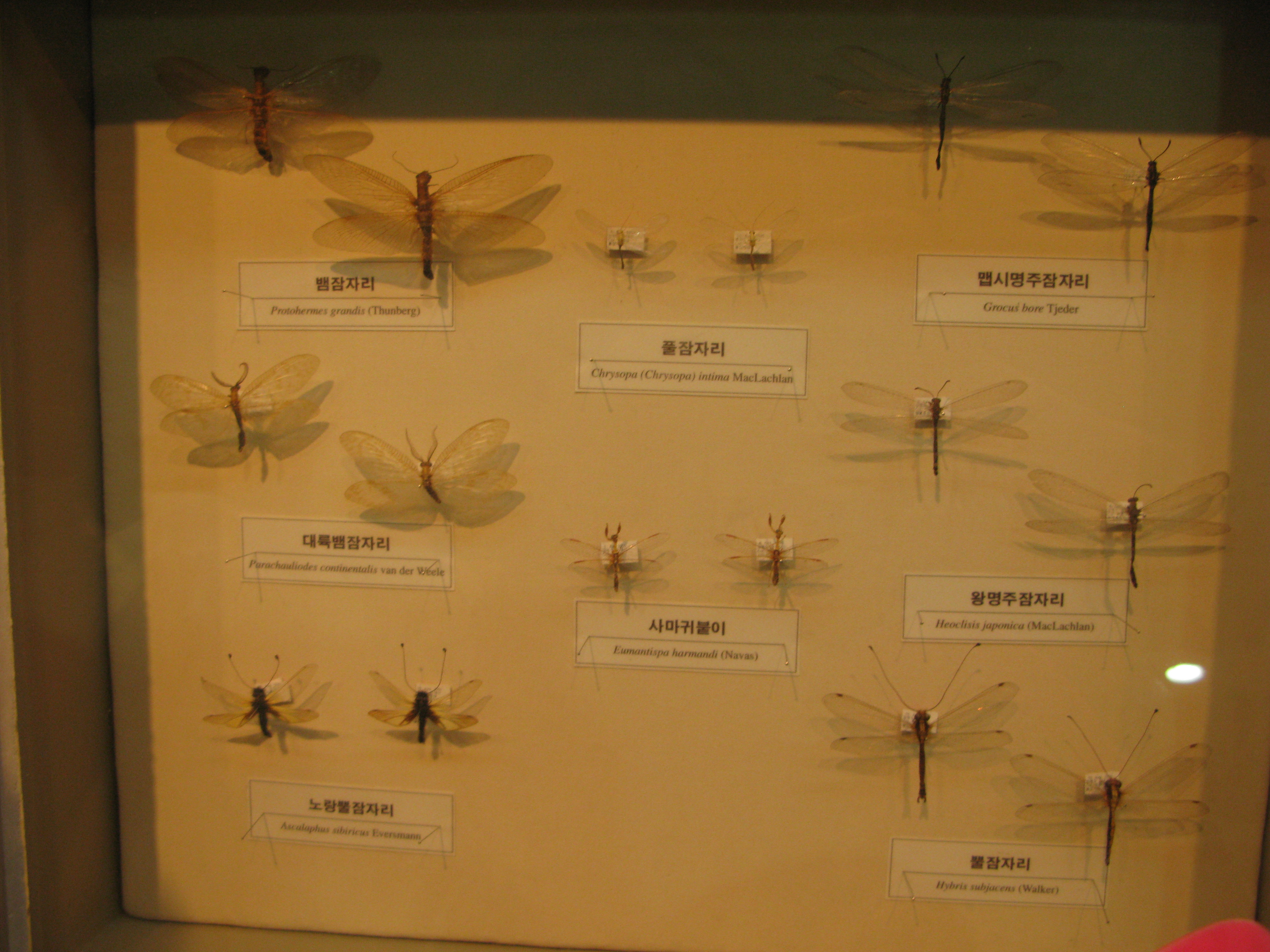 IMG_2009-08-01 오후 4-15-20.JPG