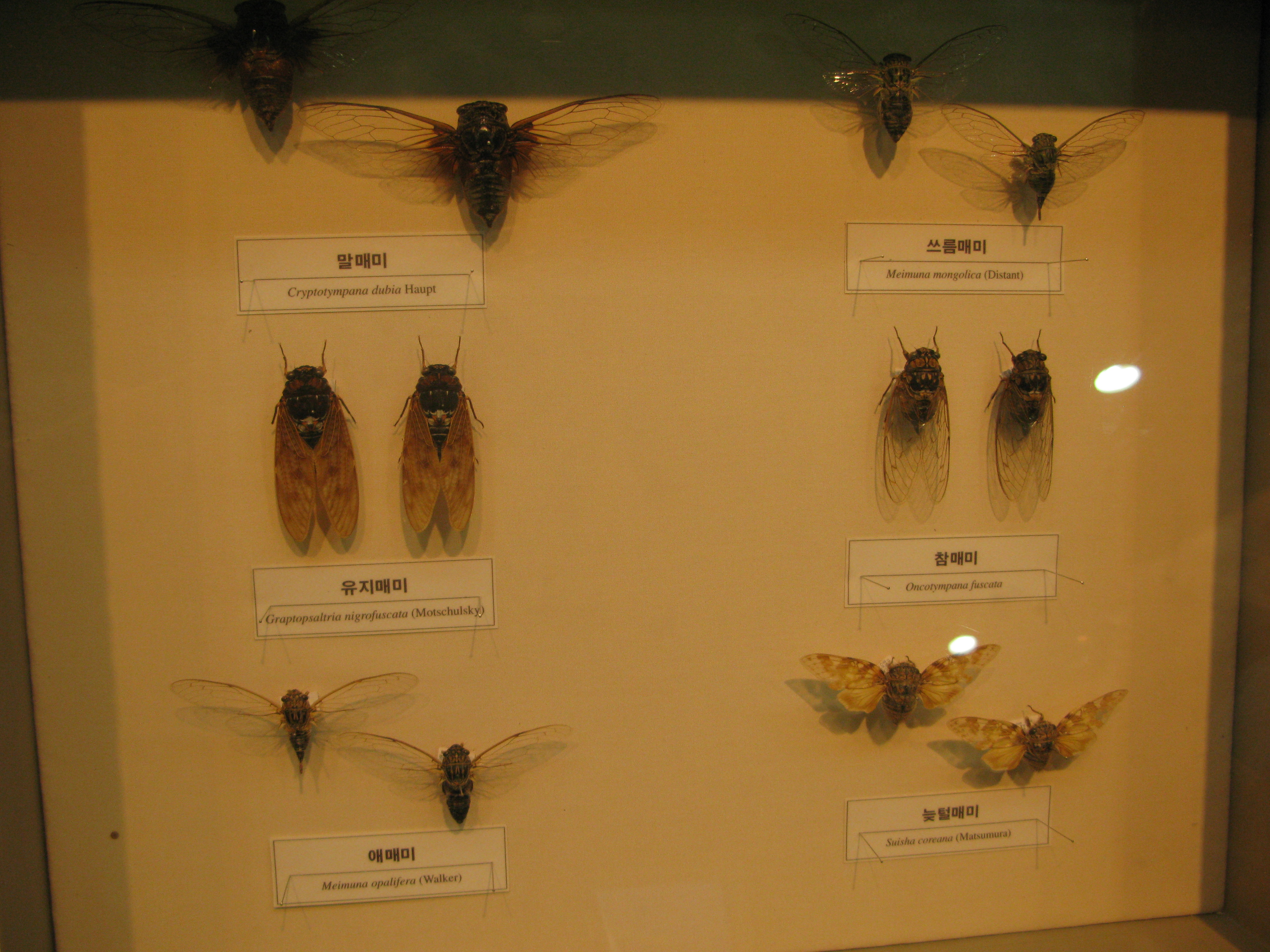 IMG_2009-08-01 오후 4-15-30.JPG