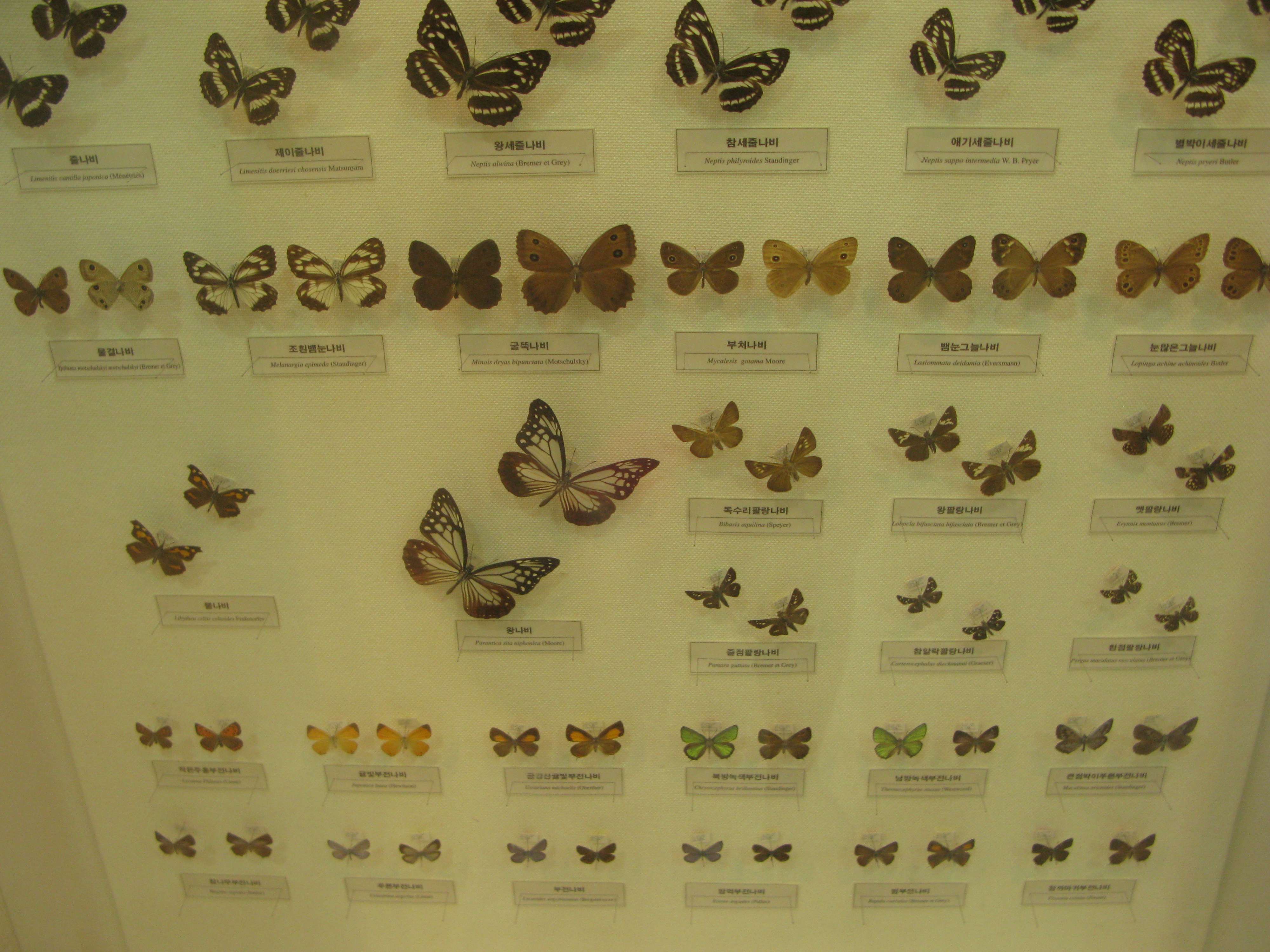 IMG_2009-08-01 오후 4-16-07.JPG