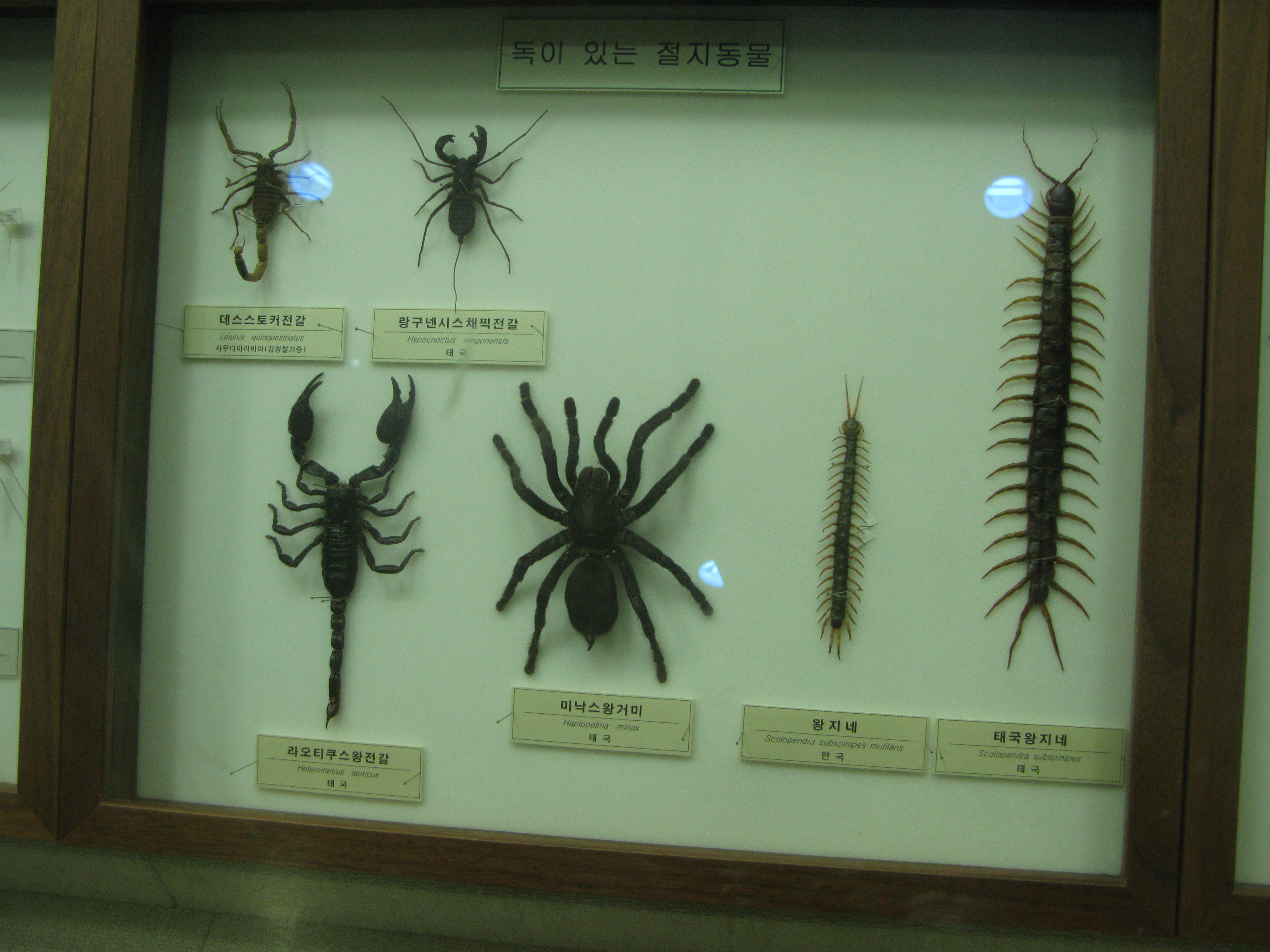 IMG_2009-08-01 오후 4-16-24.JPG
