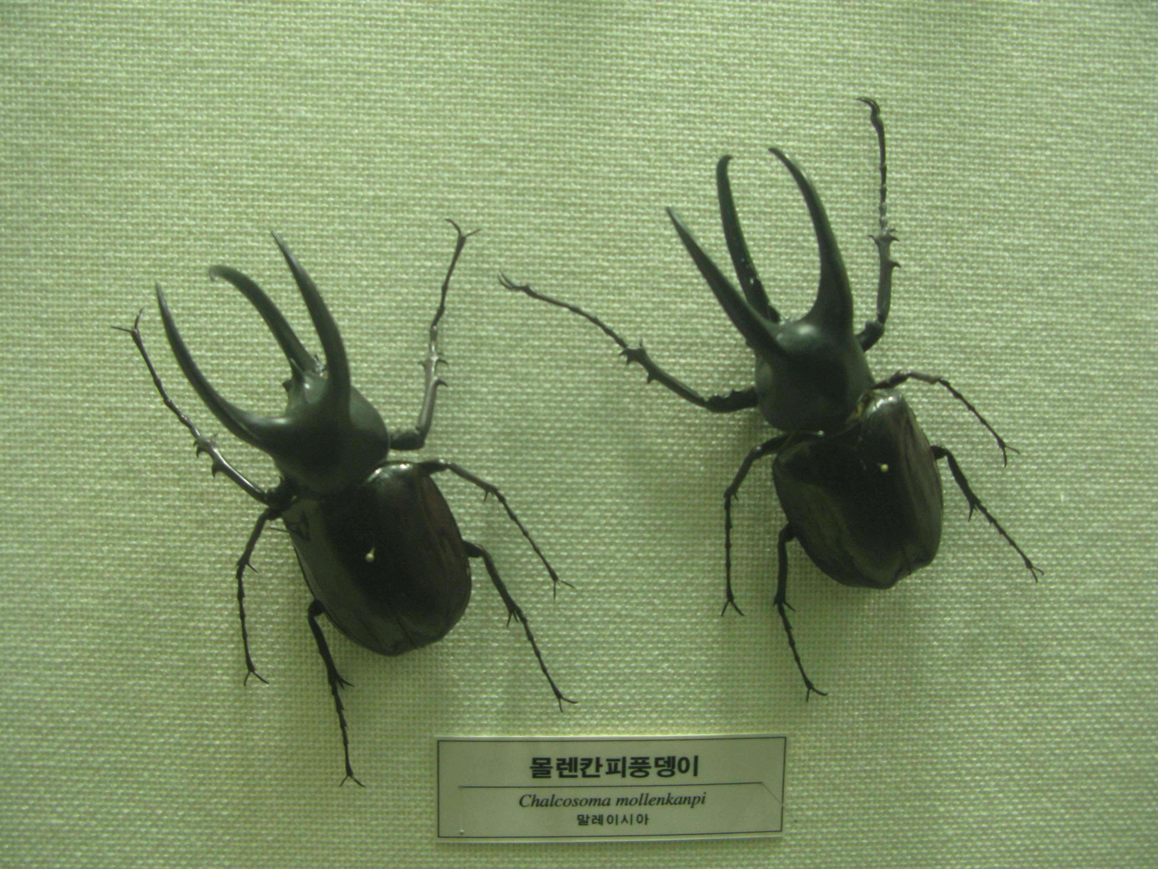 IMG_2009-08-01 오후 4-16-44.JPG