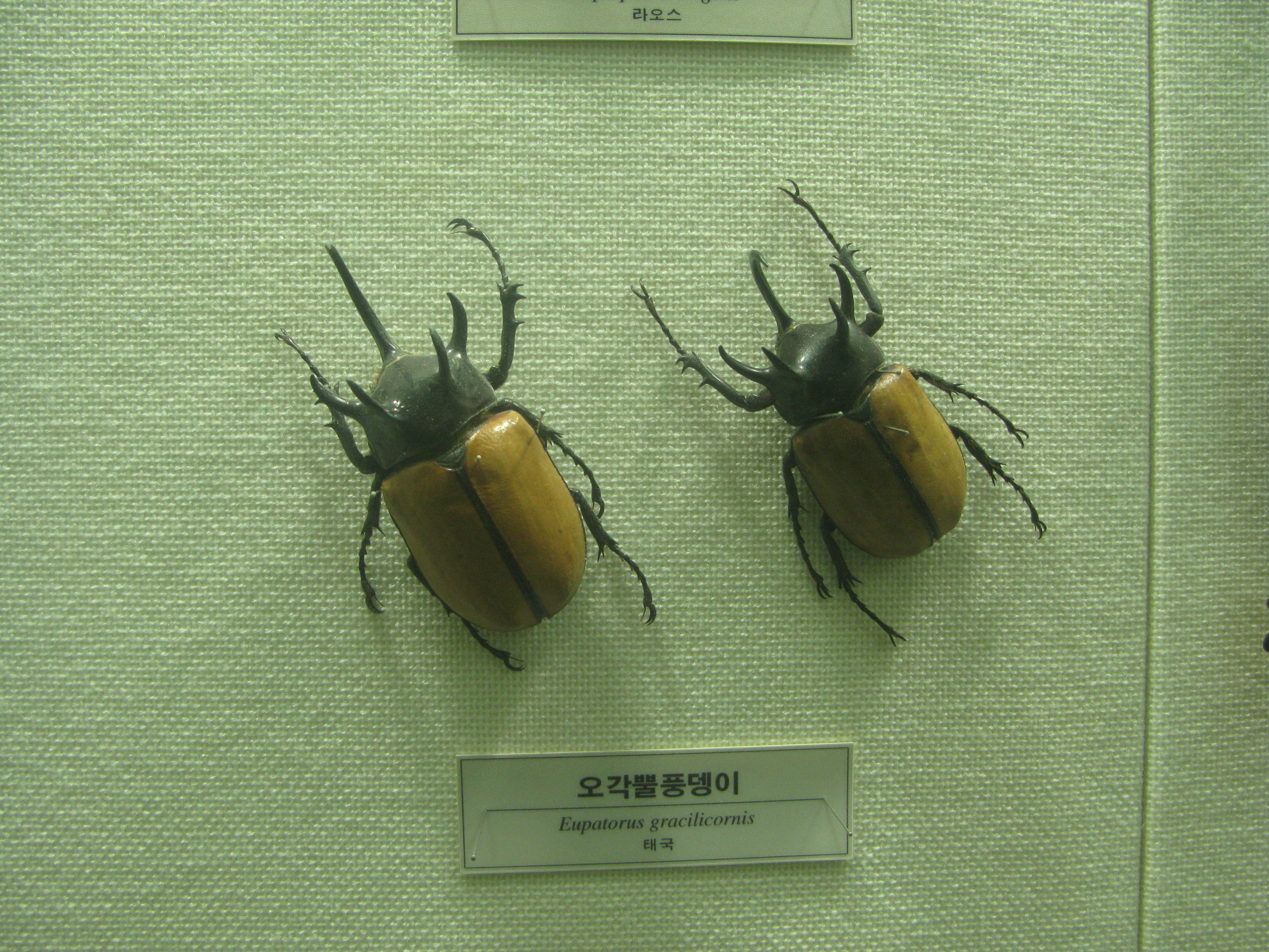 IMG_2009-08-01 오후 4-16-50.JPG