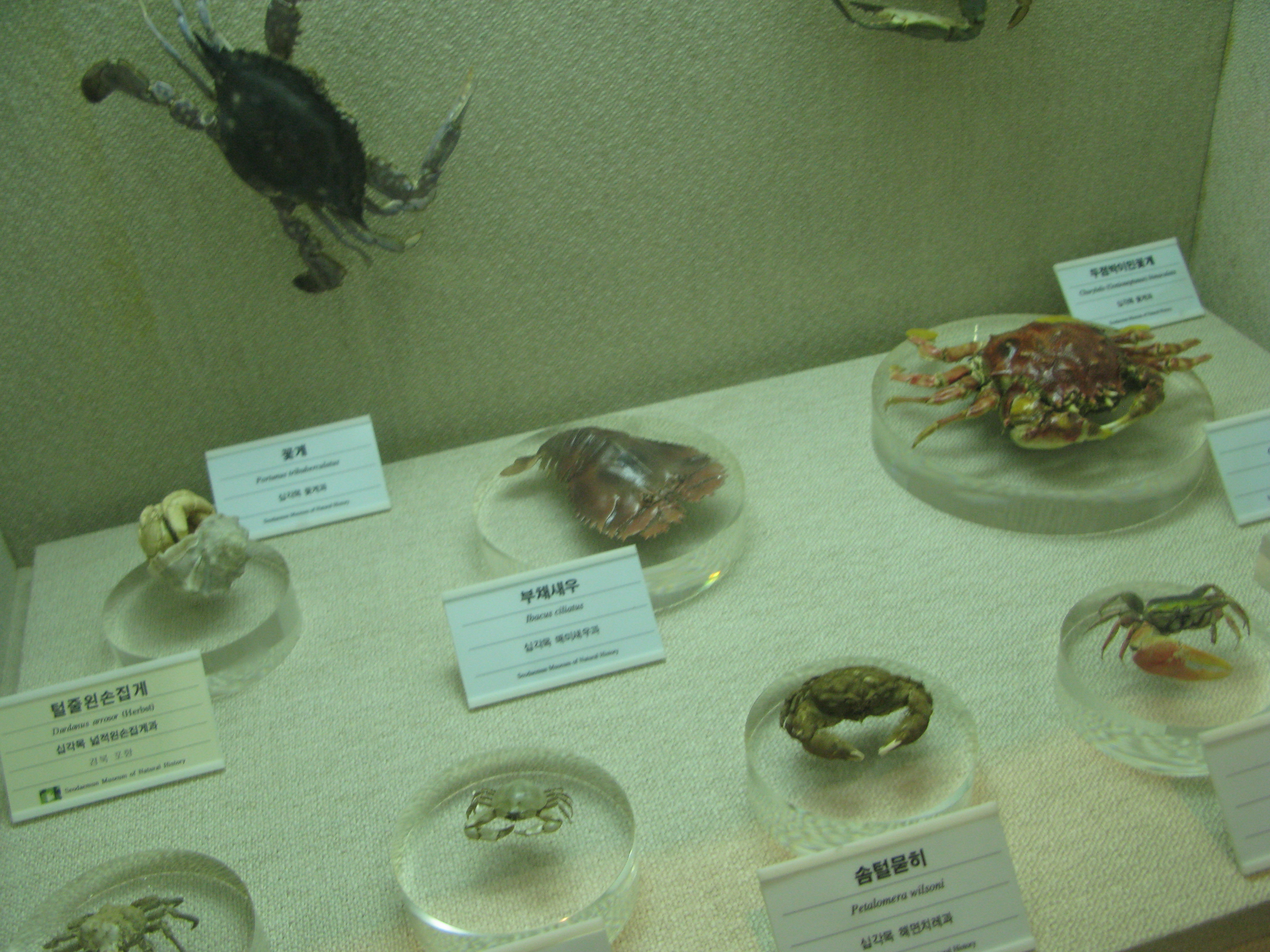 IMG_2009-08-01 오후 4-17-53.JPG