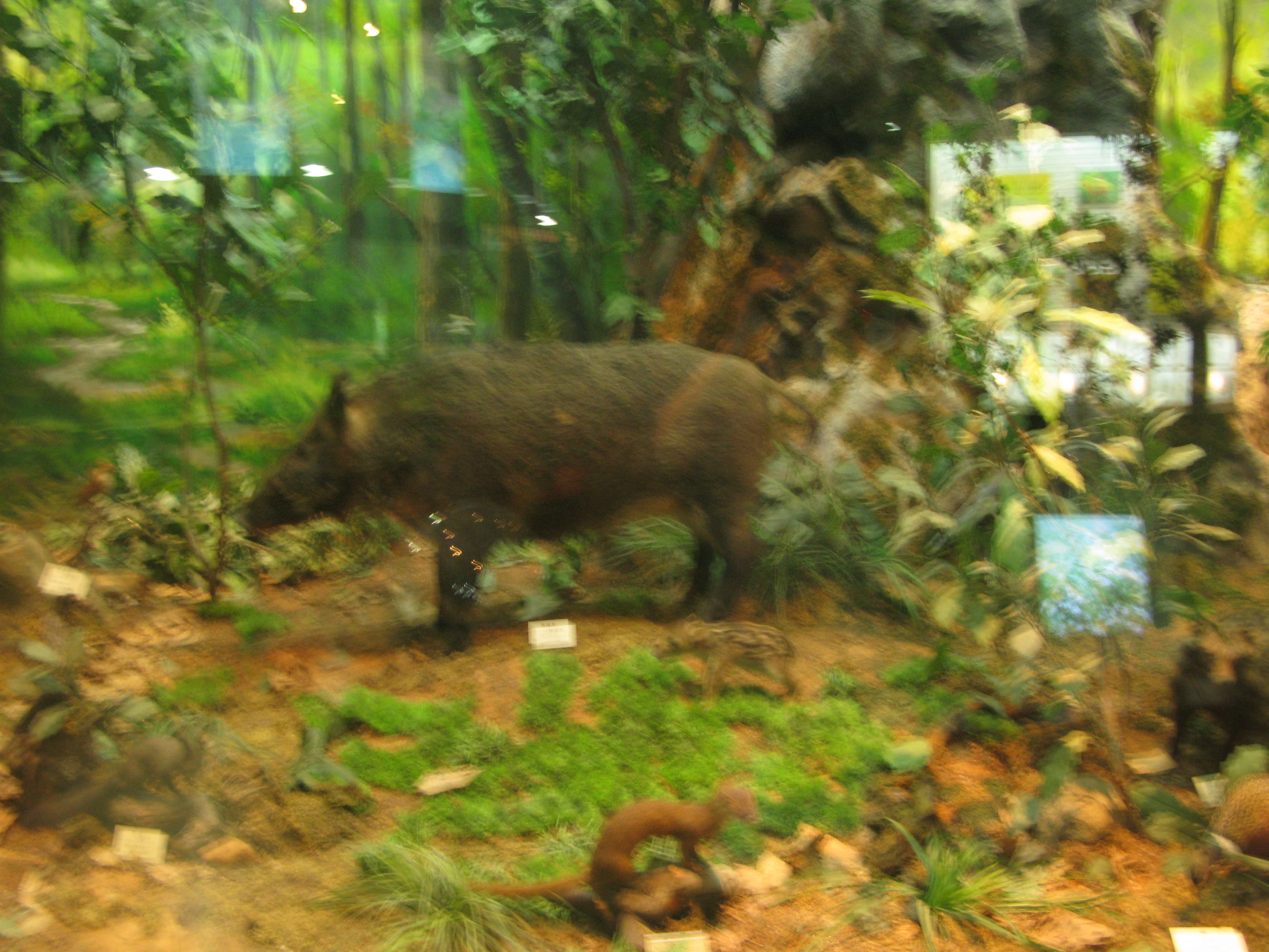 IMG_2009-08-01 오후 4-26-00.JPG