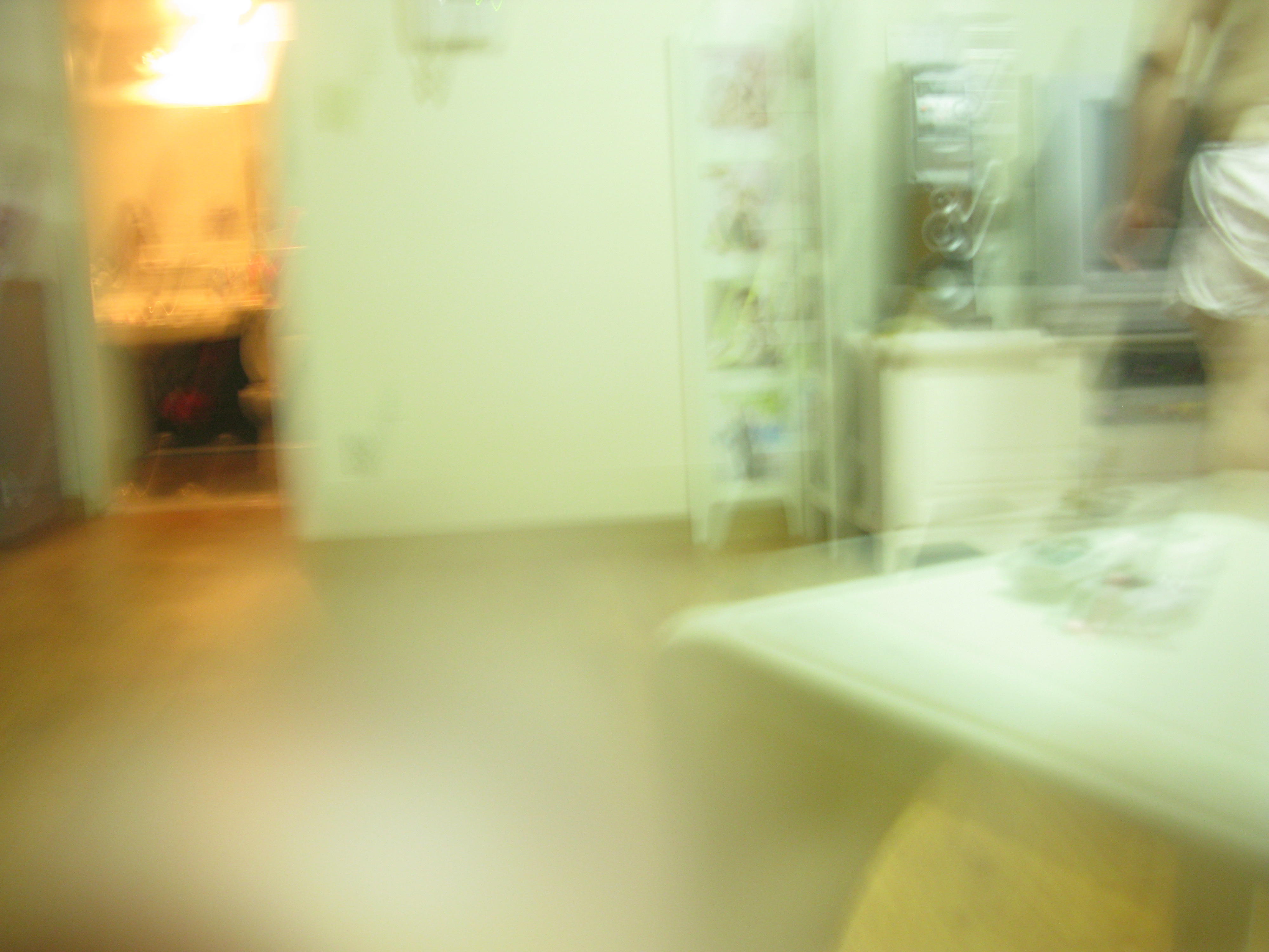 IMG_2009-08-06 오후 7-09-15.JPG