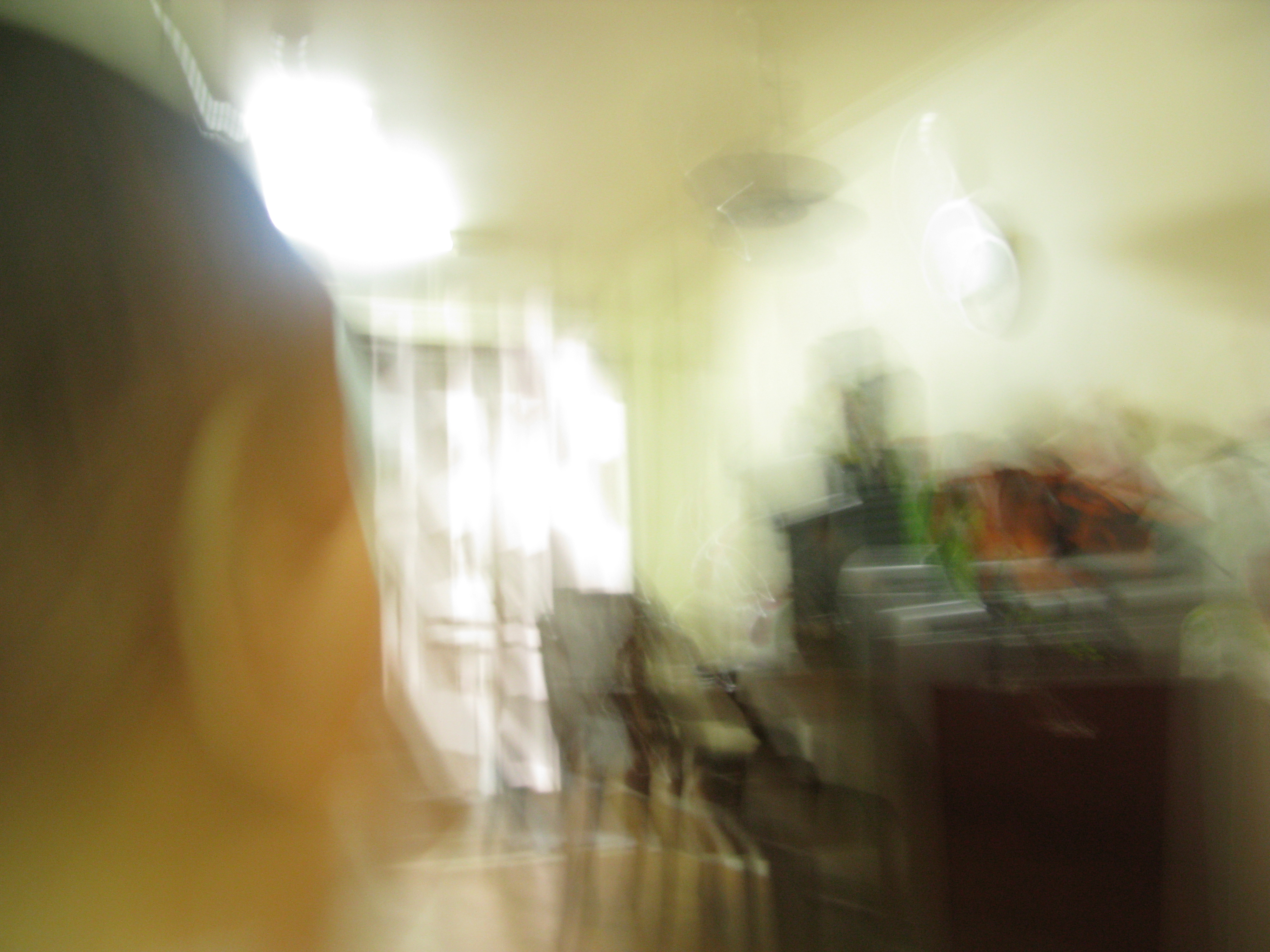 IMG_2009-08-06 오후 7-11-20.JPG