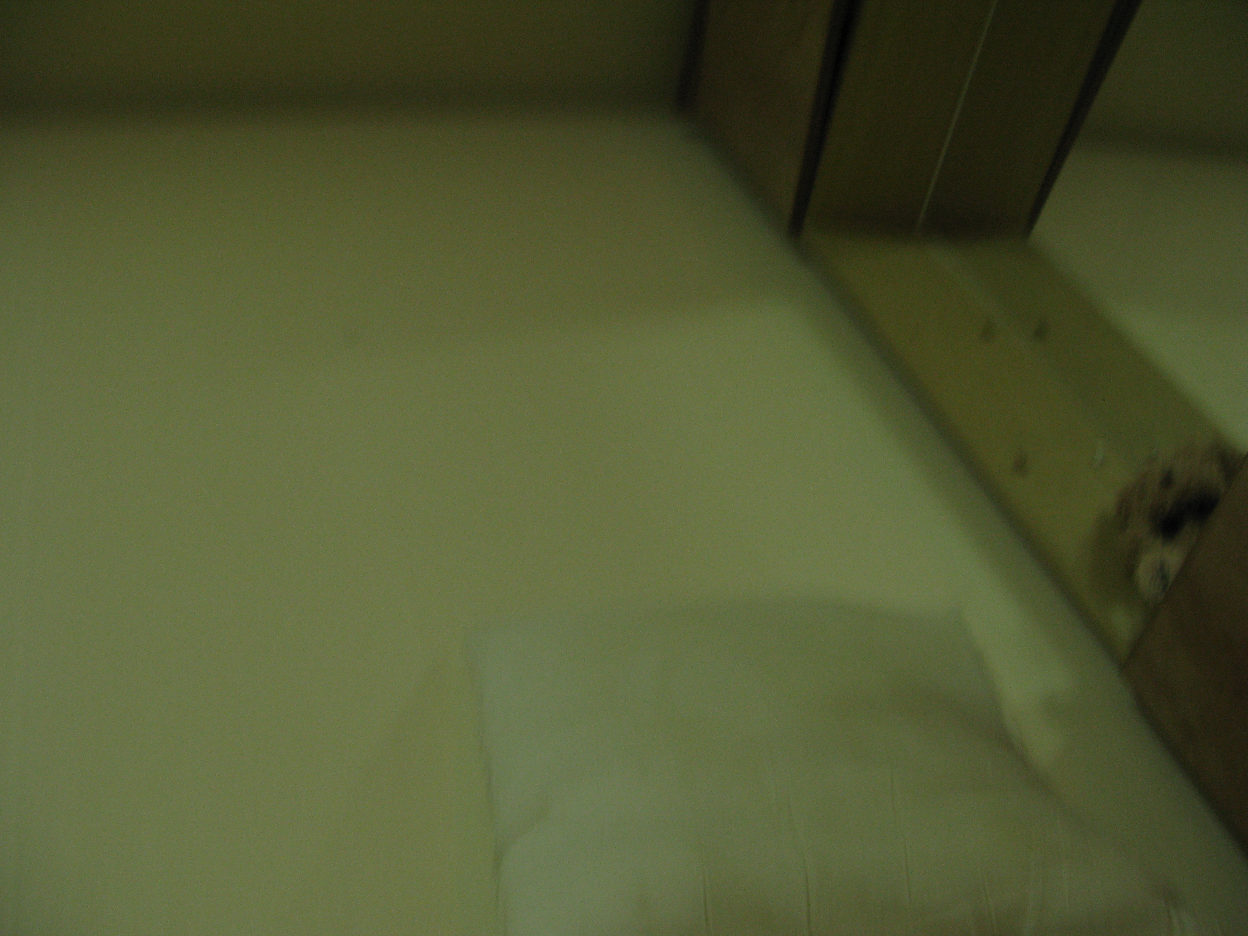 IMG_2009-08-06 오후 7-17-26.JPG