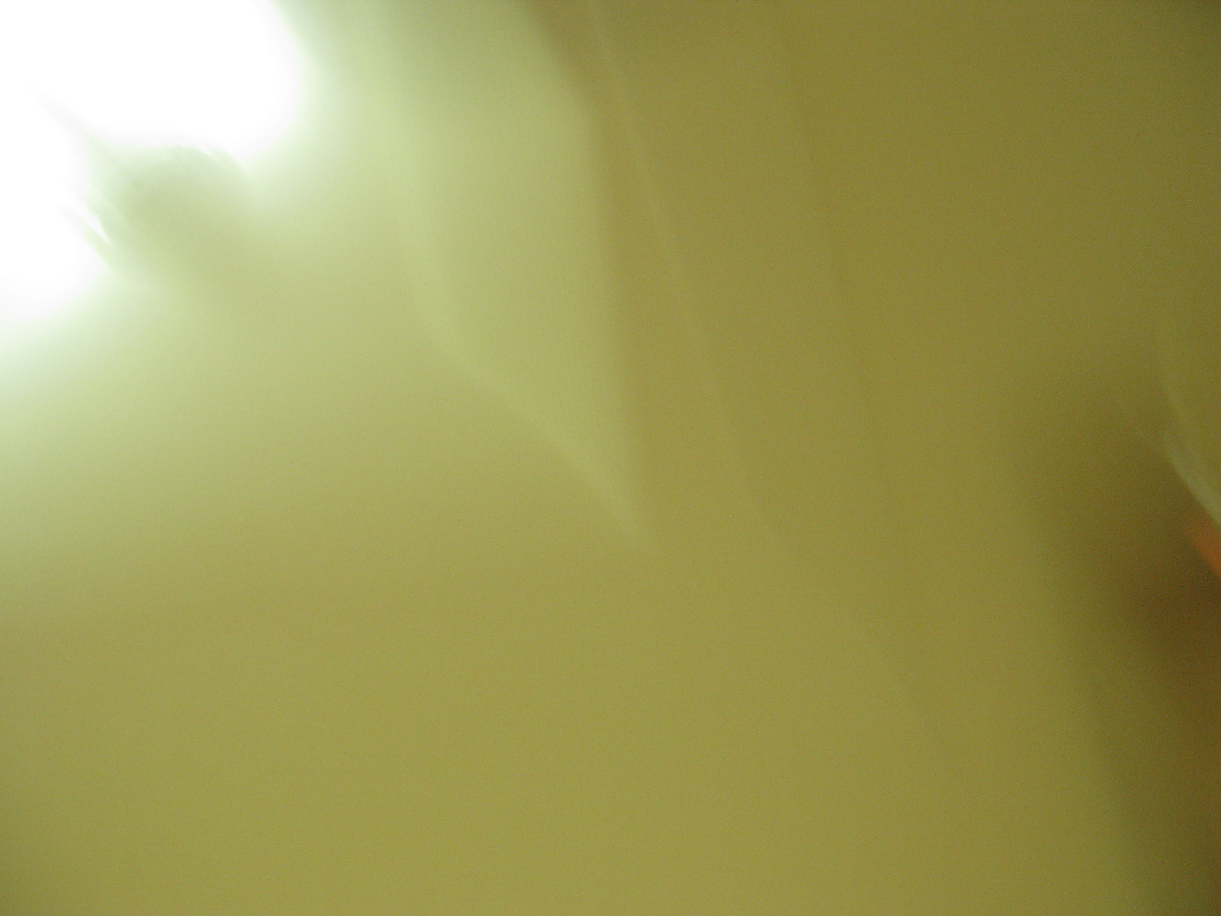 IMG_2009-08-06 오후 7-17-27.JPG