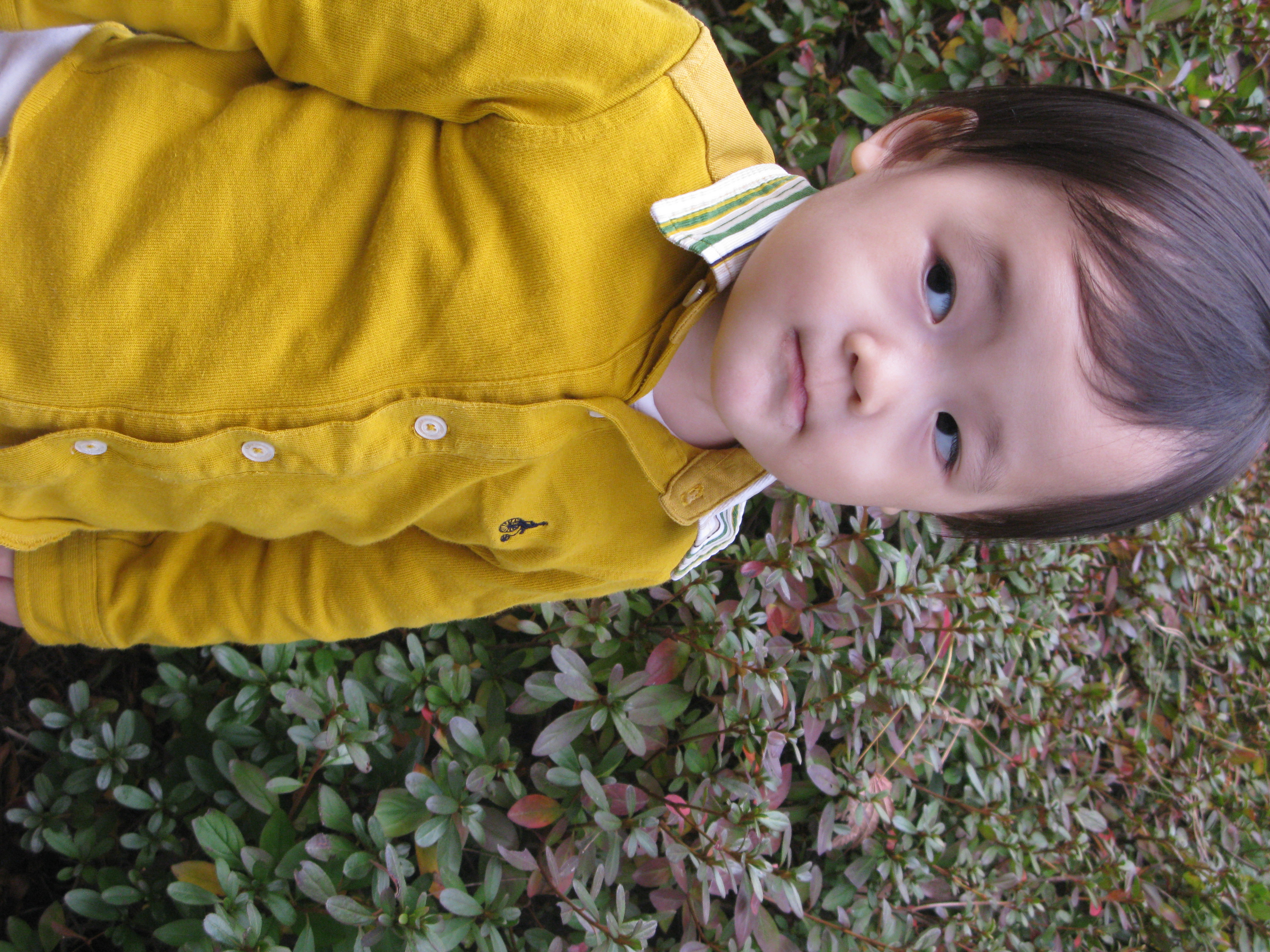 2009-10-25 오후 4-08-11.JPG