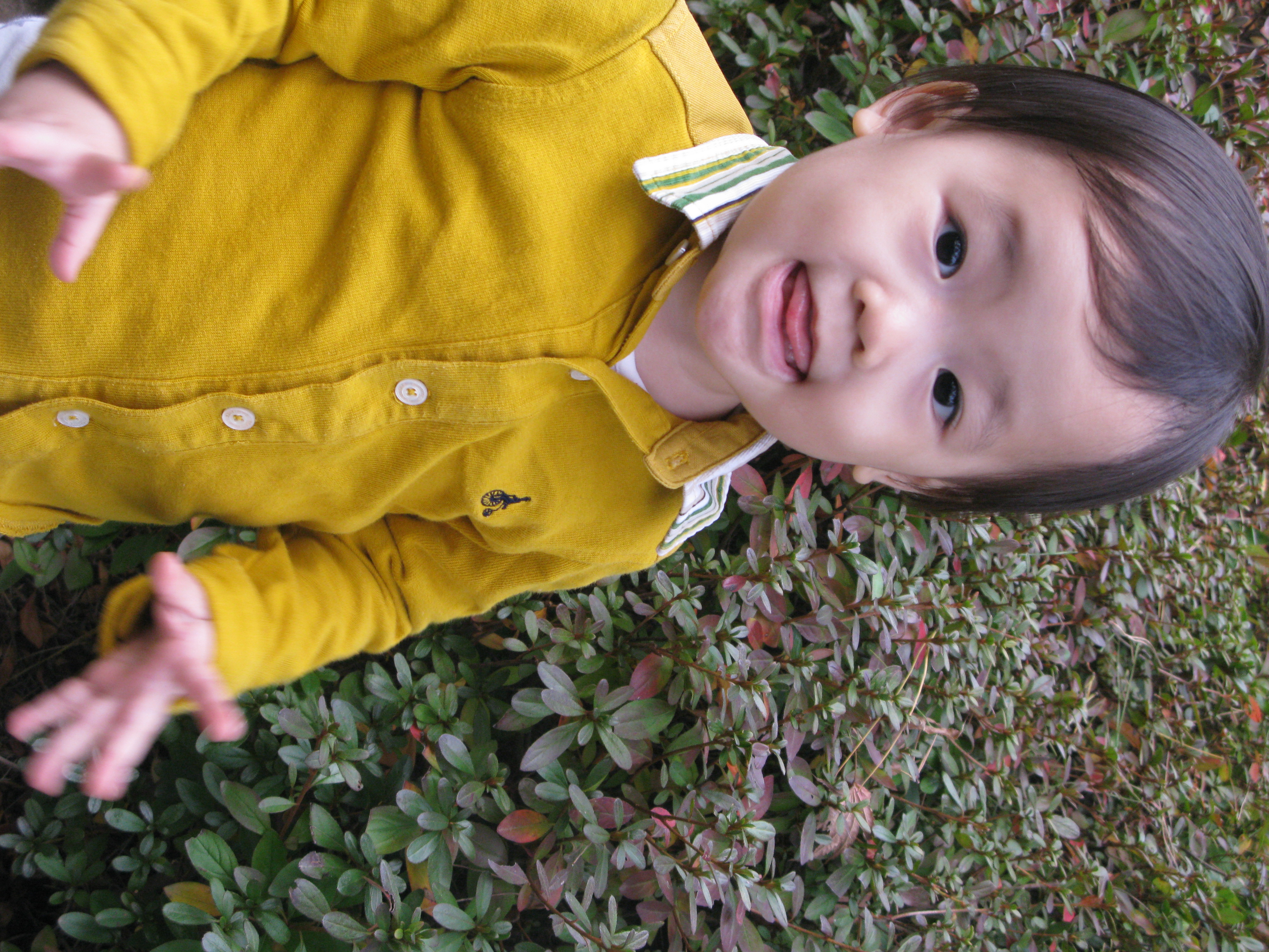2009-10-25 오후 4-08-16.JPG