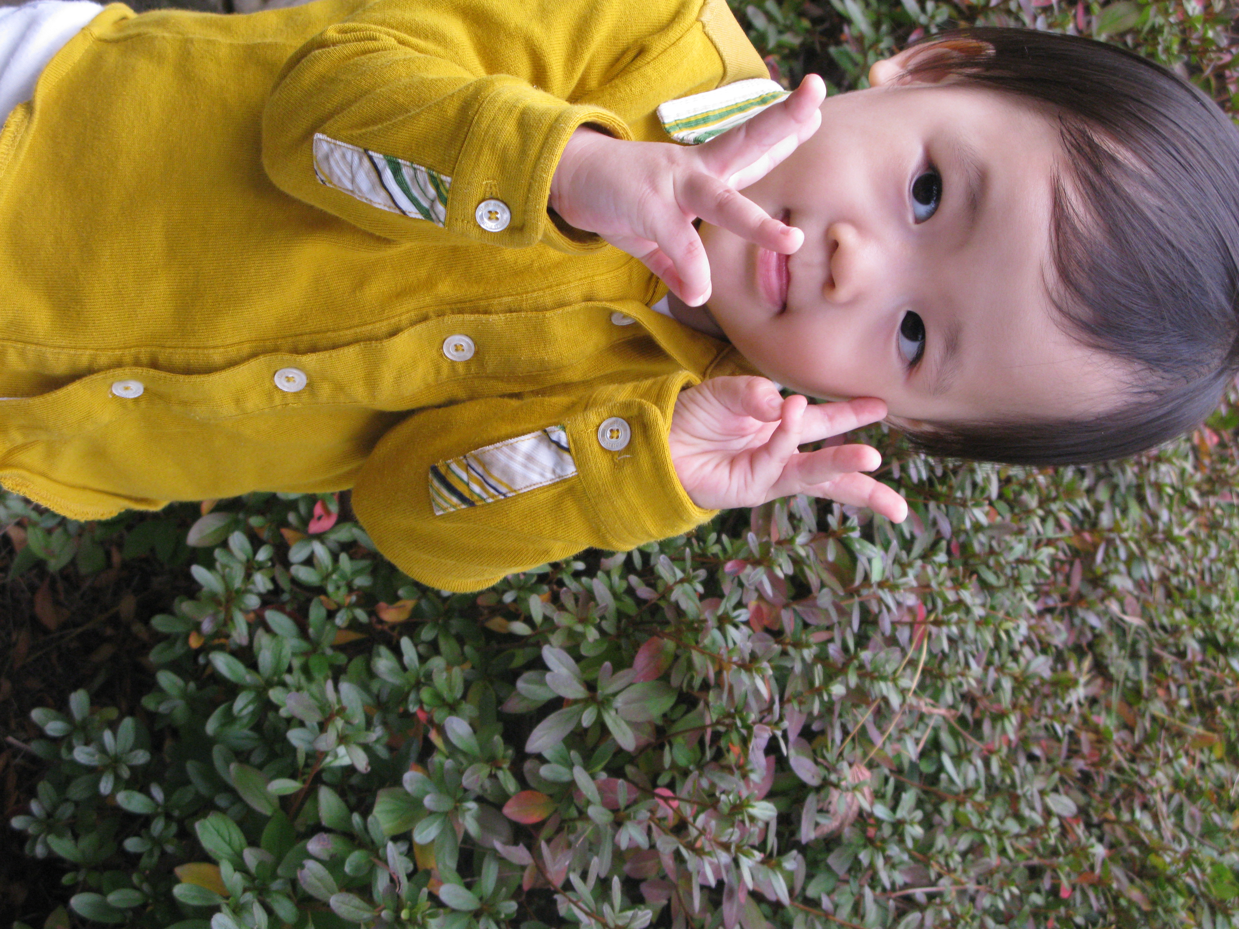 2009-10-25 오후 4-08-19.JPG