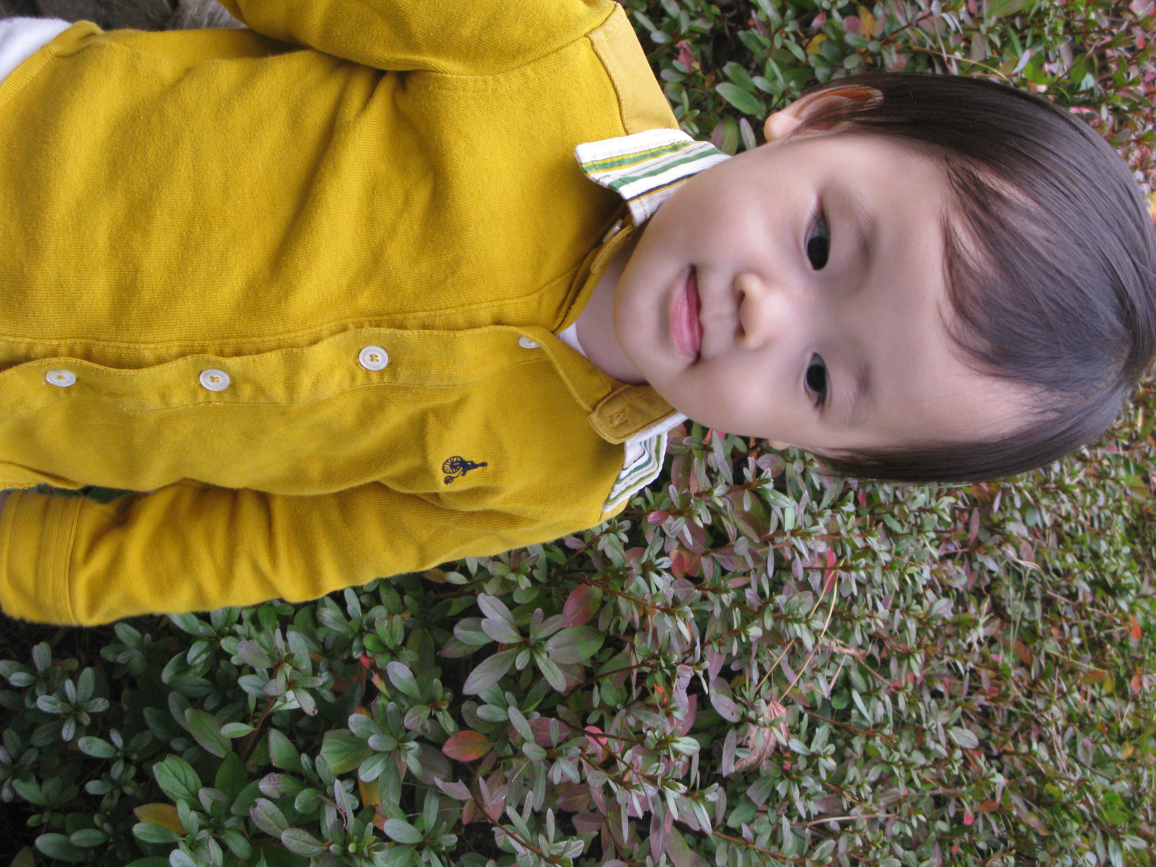 2009-10-25 오후 4-08-21.JPG