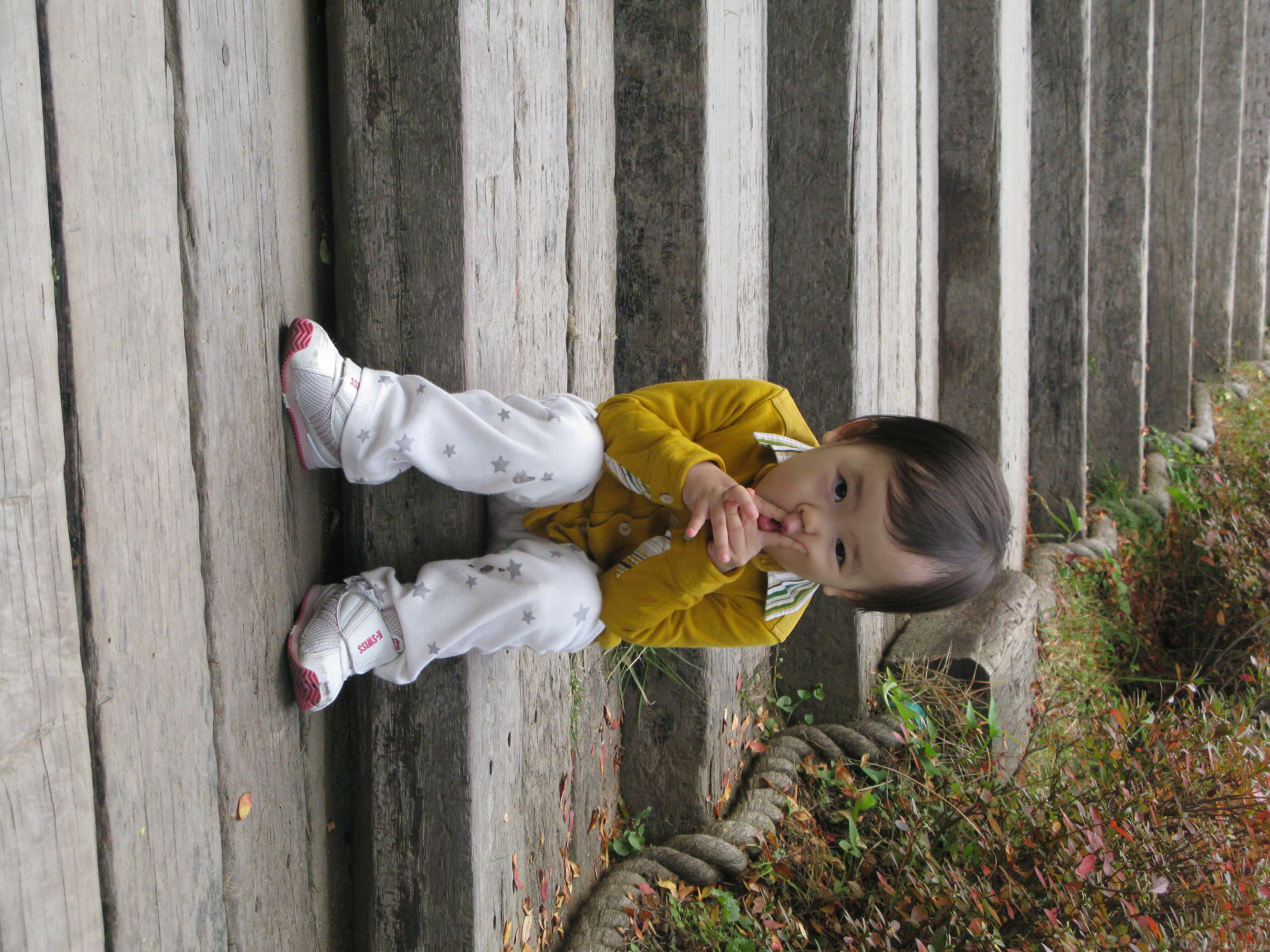 2009-10-25 오후 4-09-05.JPG
