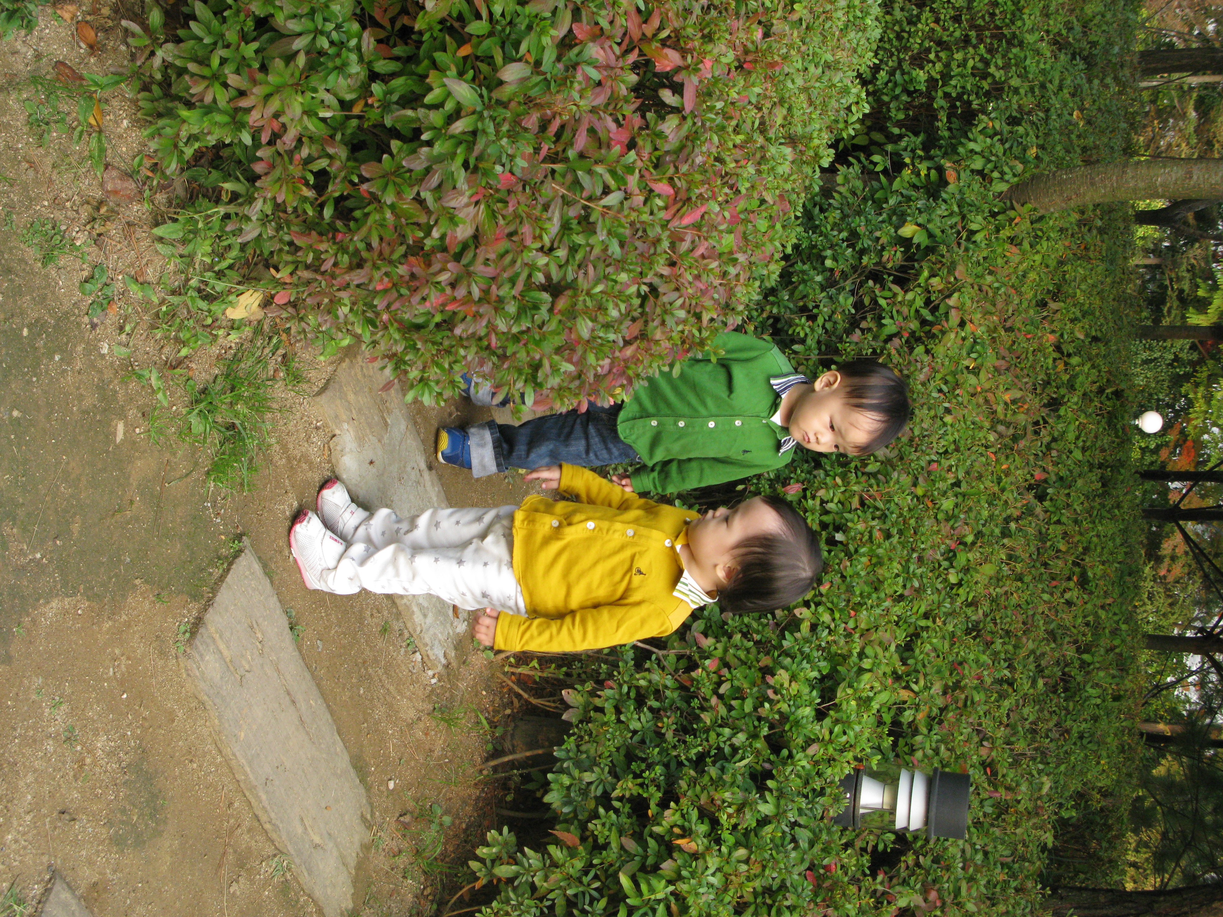 2009-10-25 오후 4-11-19.JPG