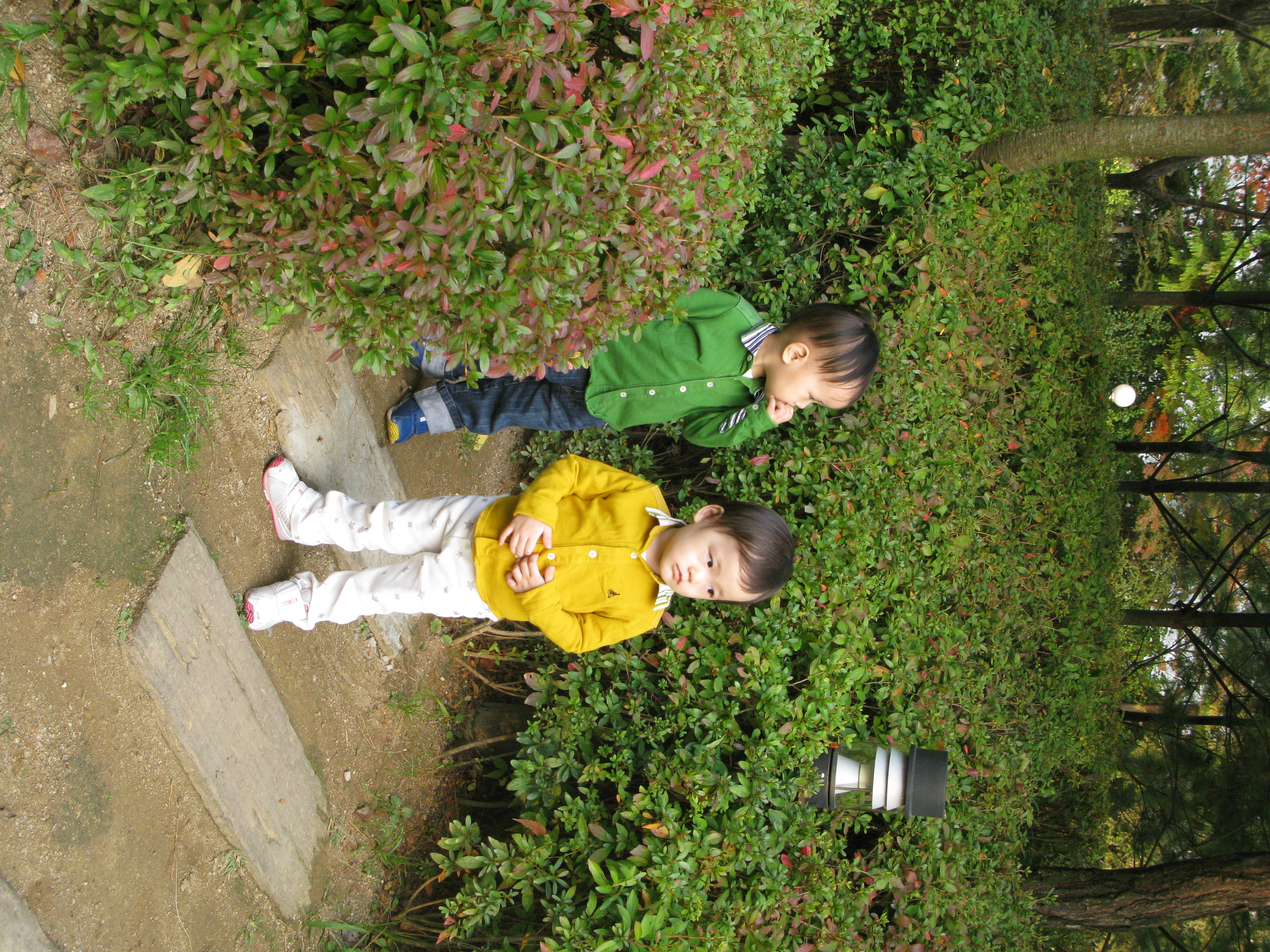 2009-10-25 오후 4-11-26.JPG