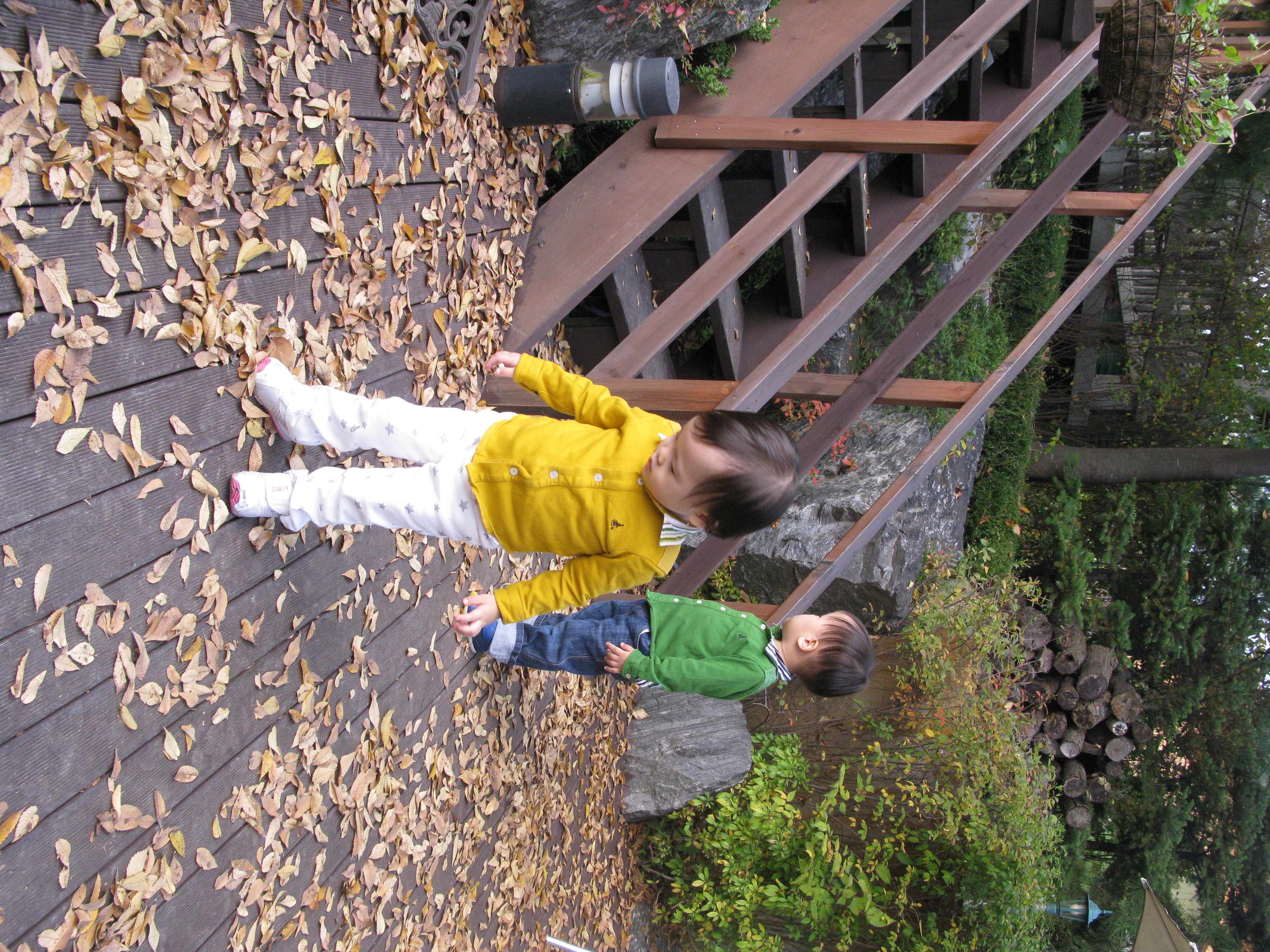 2009-10-25 오후 4-15-36.JPG