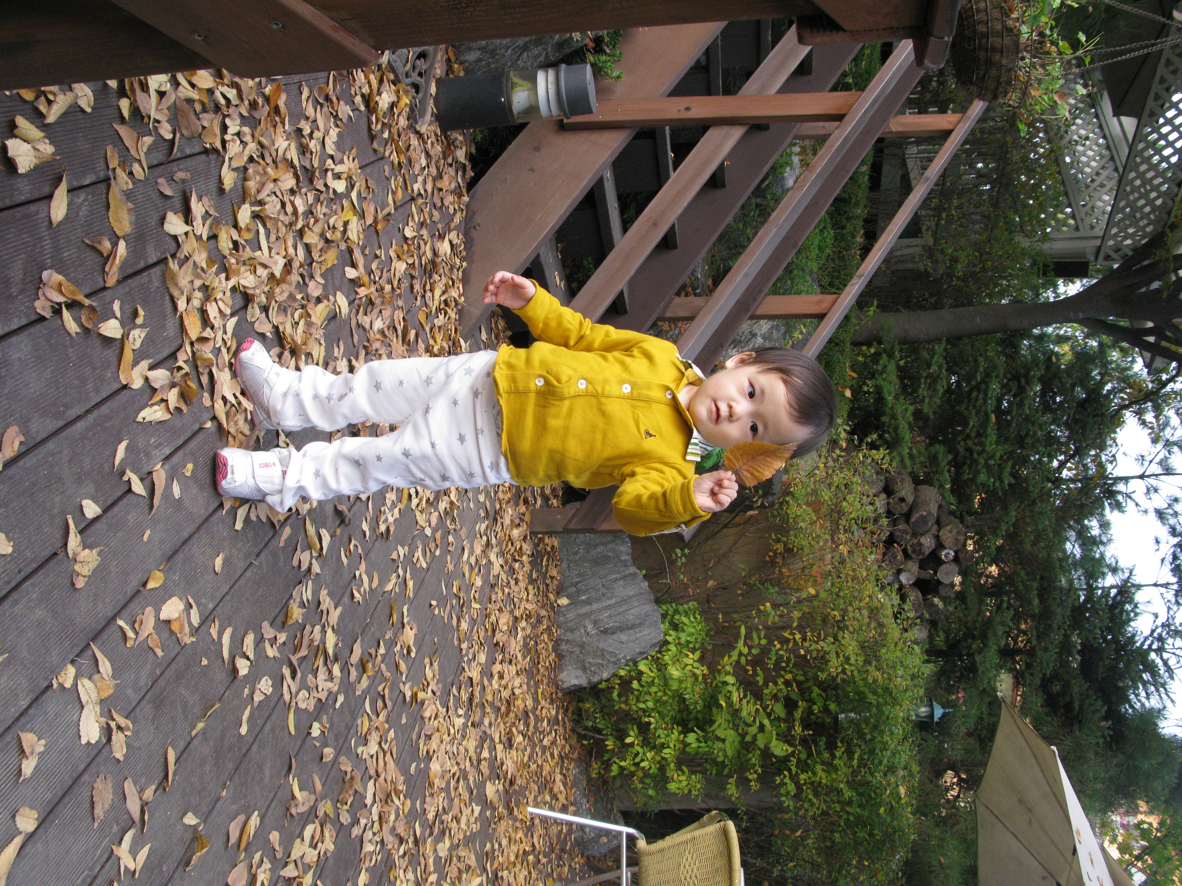 2009-10-25 오후 4-17-24.JPG