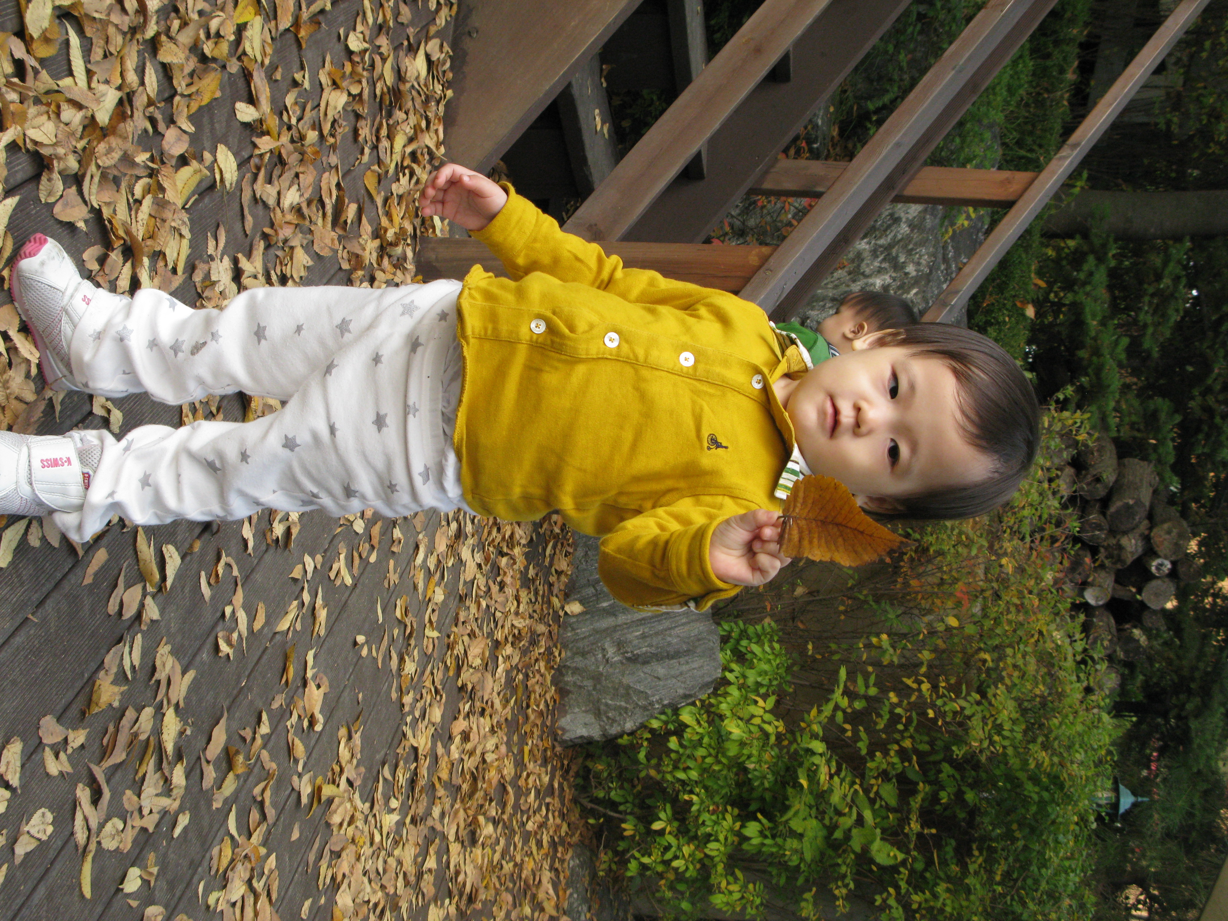 2009-10-25 오후 4-17-31.JPG